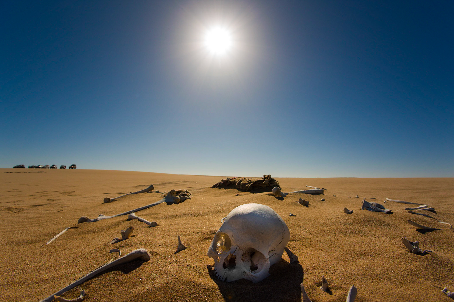Vítr odhalil mělce pohřbené ostatky dělníků z doby dávno zapomenuté slávy první diamantové oblasti v poušti Namib.