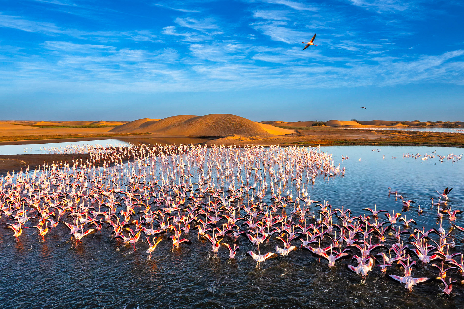 Desert scenery with saltwater lagoons full of beautiful flamingos. Namib-Nukluft National Park - Walvish Bay, Namibia