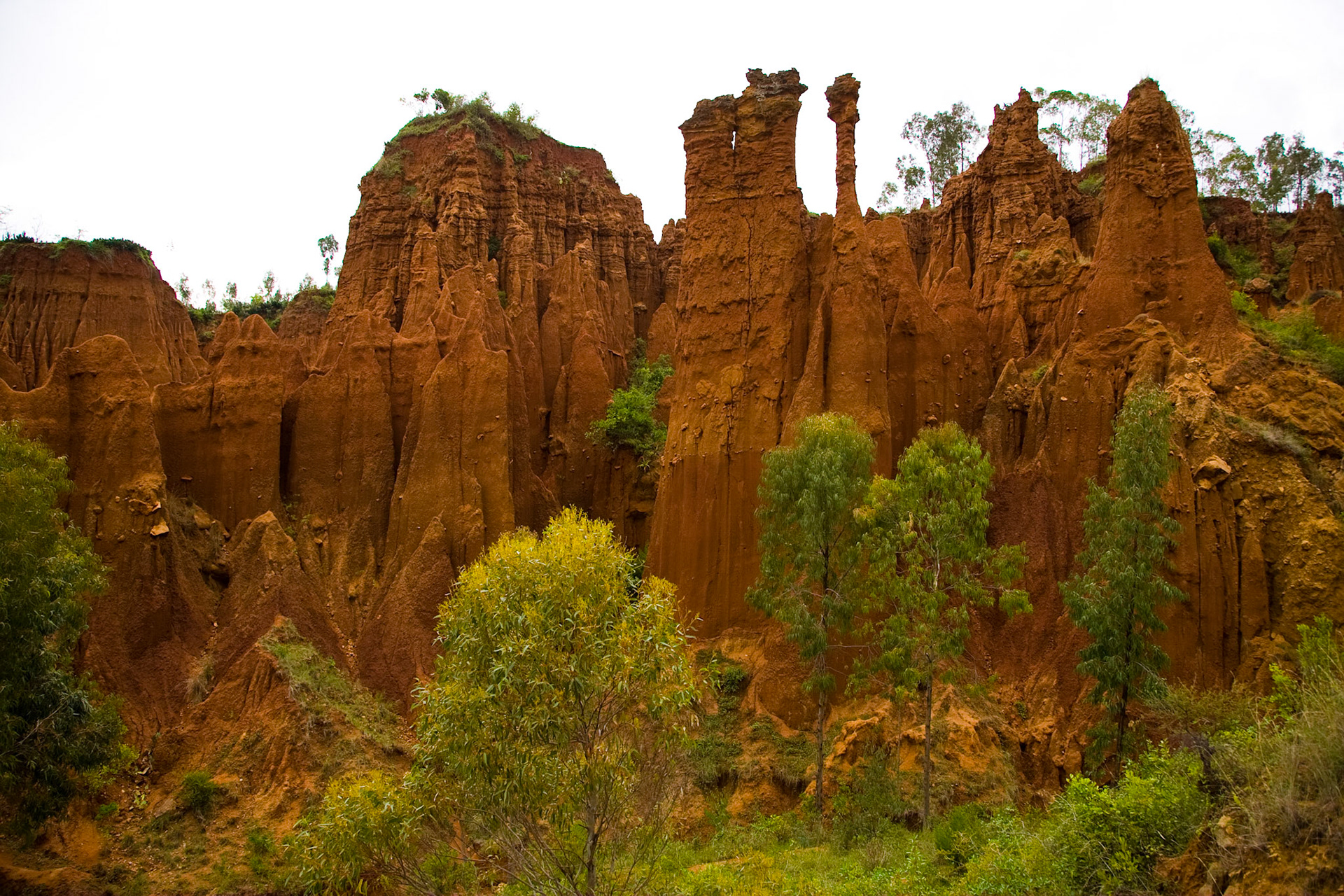 Neodbytnost, drzost, agresivita a počet fakanů byl takový, že můj řidič prohlásil, že je to poprvé a naposledy, co zde byl. Už to vypadalo, že jim budeme muset rozbít hlavy železnou tyčí, abychom se odsud vůbec dostali. Naštěsí se nám to povedlo i bez toho, ale popravdě jsme měli co dělat.