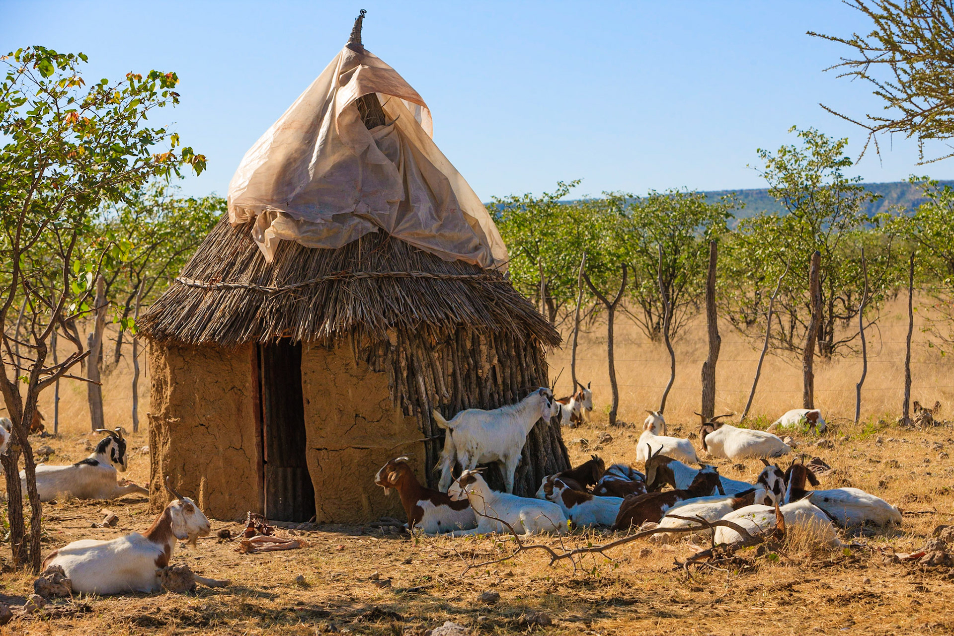 Traditional house in Kaokoland region - Namibia