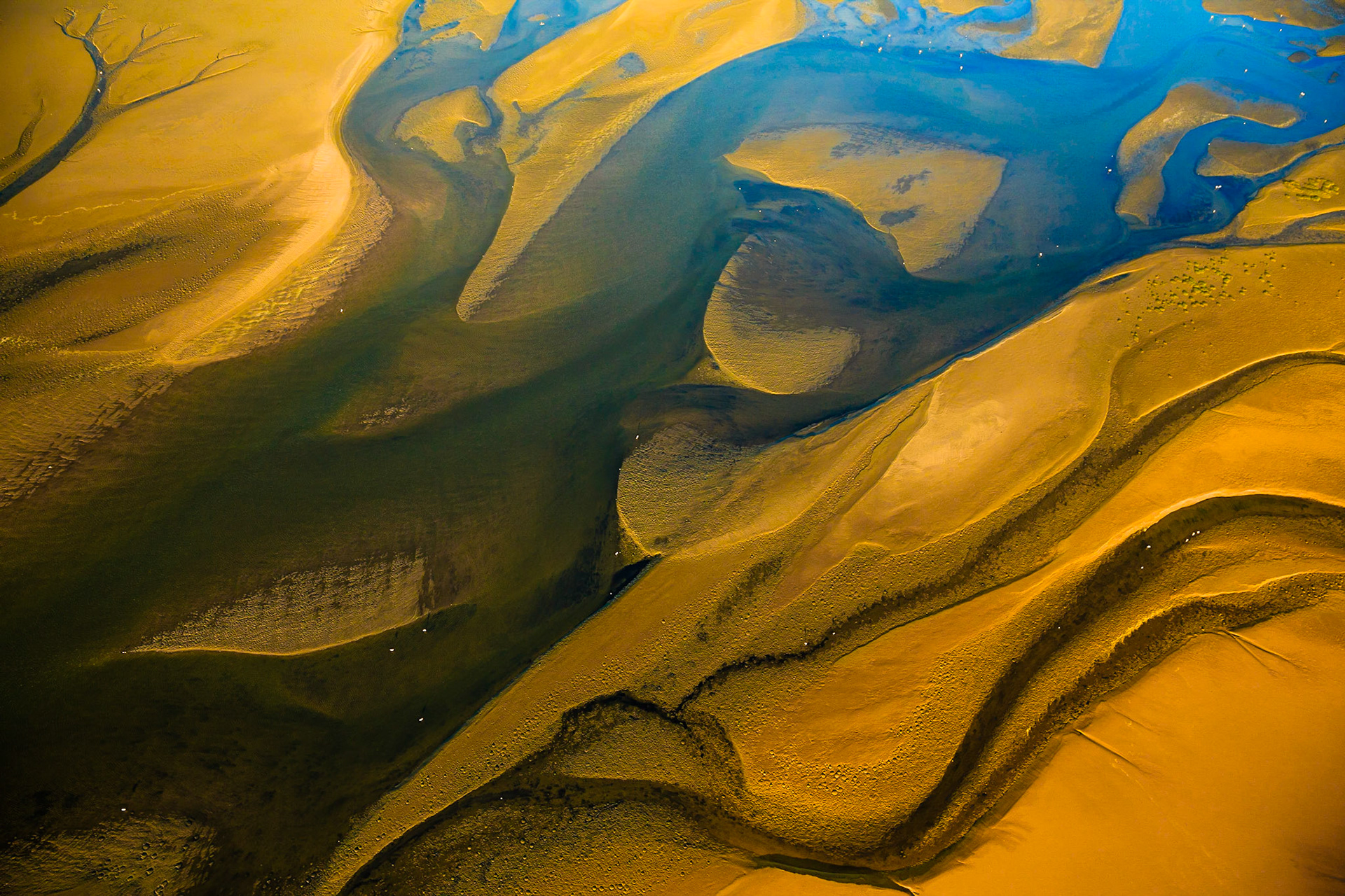 Skeleton Coast - Namibia / Pobřežní laguna v poušti je nejen místem hojnosti pro tisíce pelikánů, plameňáků a jiných vodních ptáků, ale také dechberoucím místem pro každého fotografa. Jedna z dalších tváří Namibu.