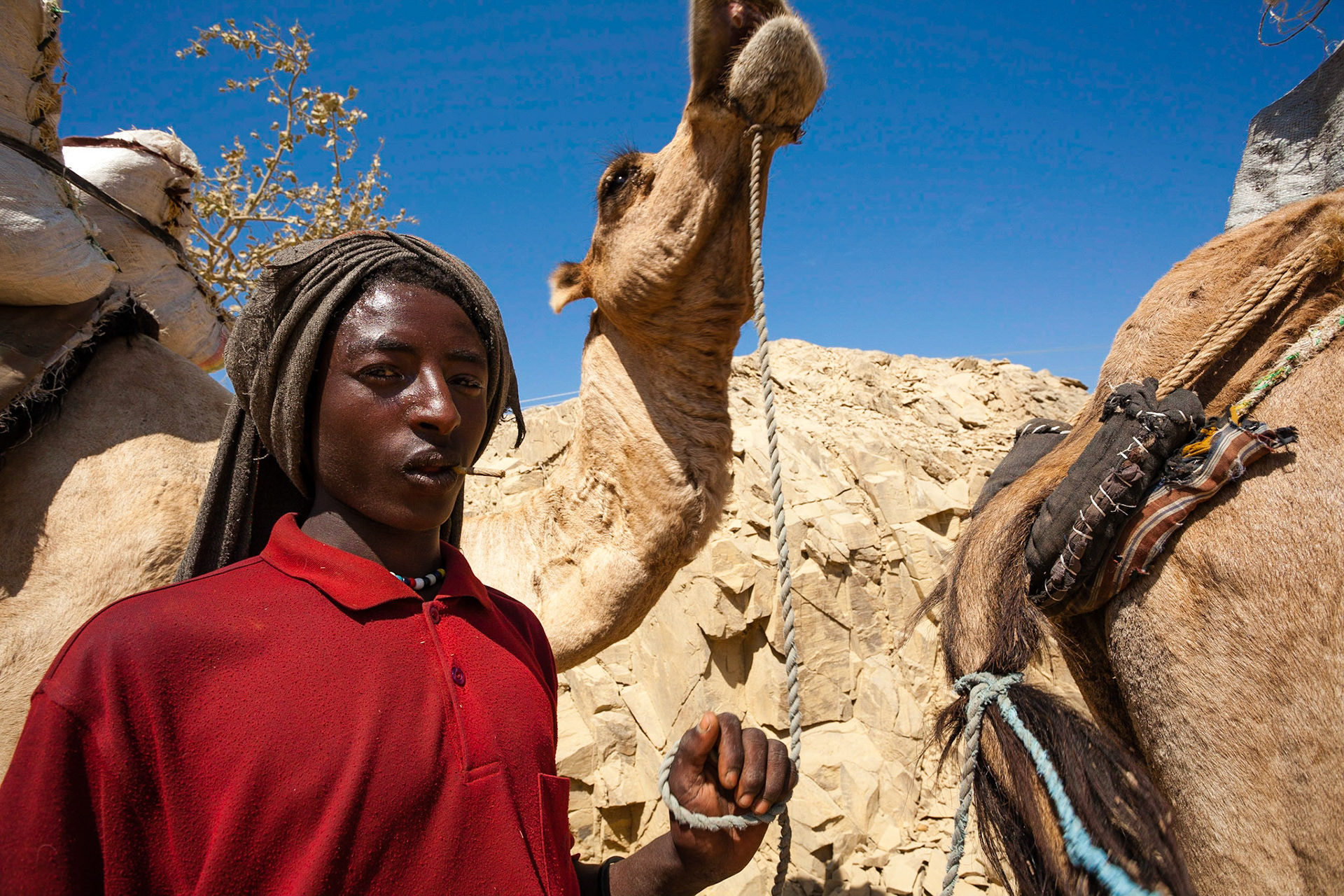 První v hierarchii karavany je vždy člověk. Ten určuje tempo, místo a čas k odpočinku. Na rozdíl od romantických představ, kdy velbloudi vezou své pány, tak realita je poněkud drsnější. Lidé celou cestu s karavanou absolvují pěšky.