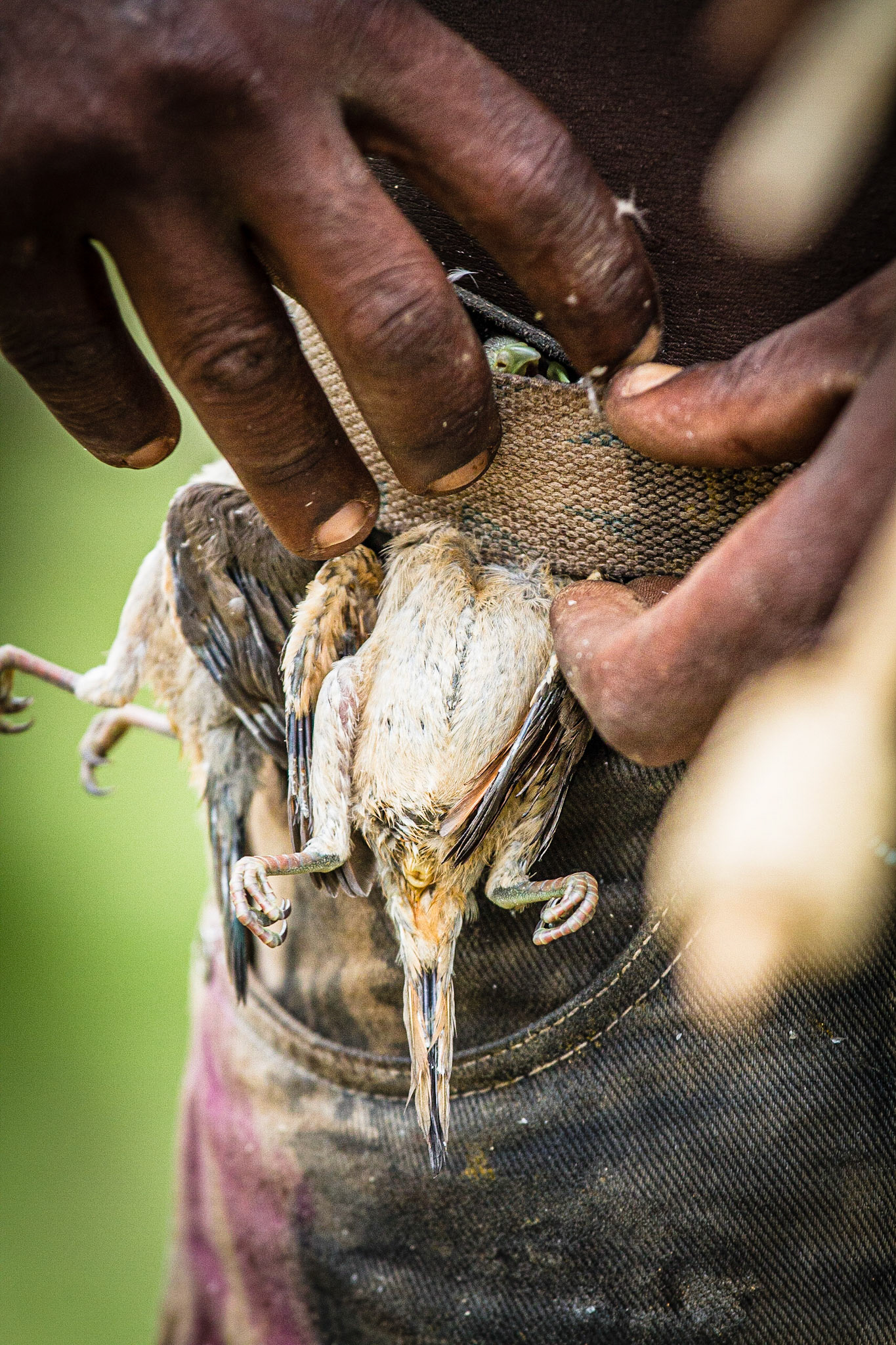 Hadza tribe, Lake Eyasi, Tanzania - 17 March 2011 / Lidé z kmene Hadza, Tanzánie, 2011