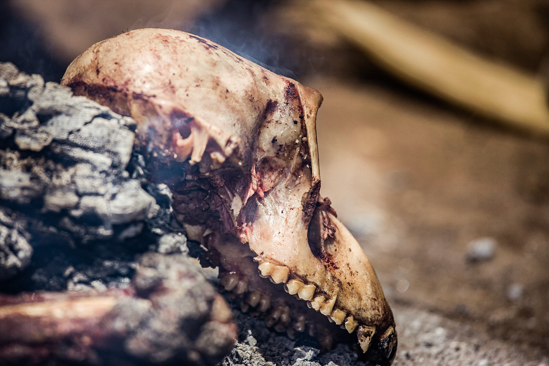Hadza tribe, Lake Eyasi, Tanzania - 17 March 2011 / Lidé z kmene Hadza, Tanzánie, 2011