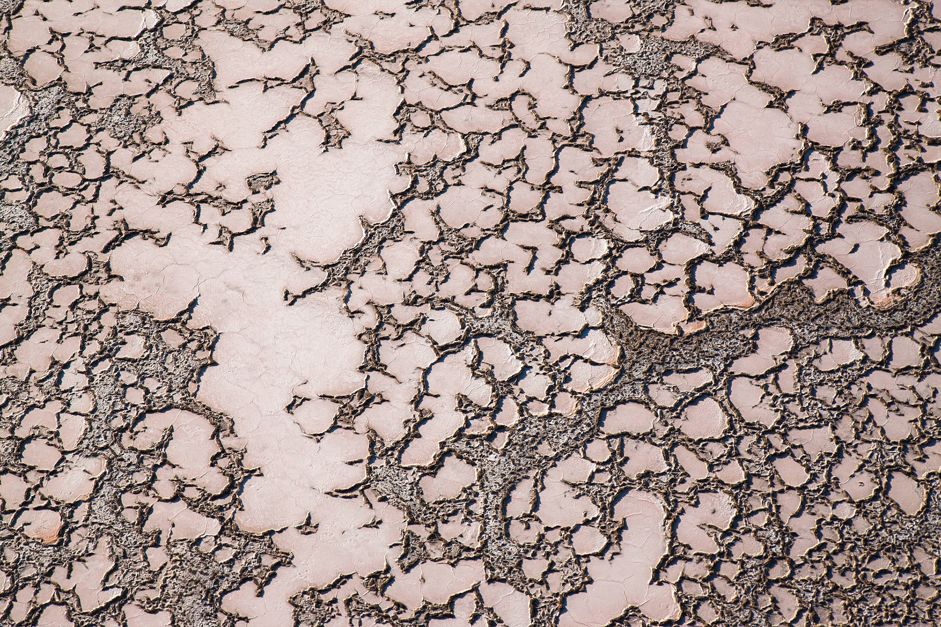 Namib není jen pouští nejvyšších písešných dun na světě, ale ve skutečnosti má opravdu mnohu tváří. Ty mnohdy zůstávají skryty právě uprostřed nedostupných dun, a tak nejlepší způsob vedoucí k jejich odhalení, je najmutí si letadla a pohled z nebe.