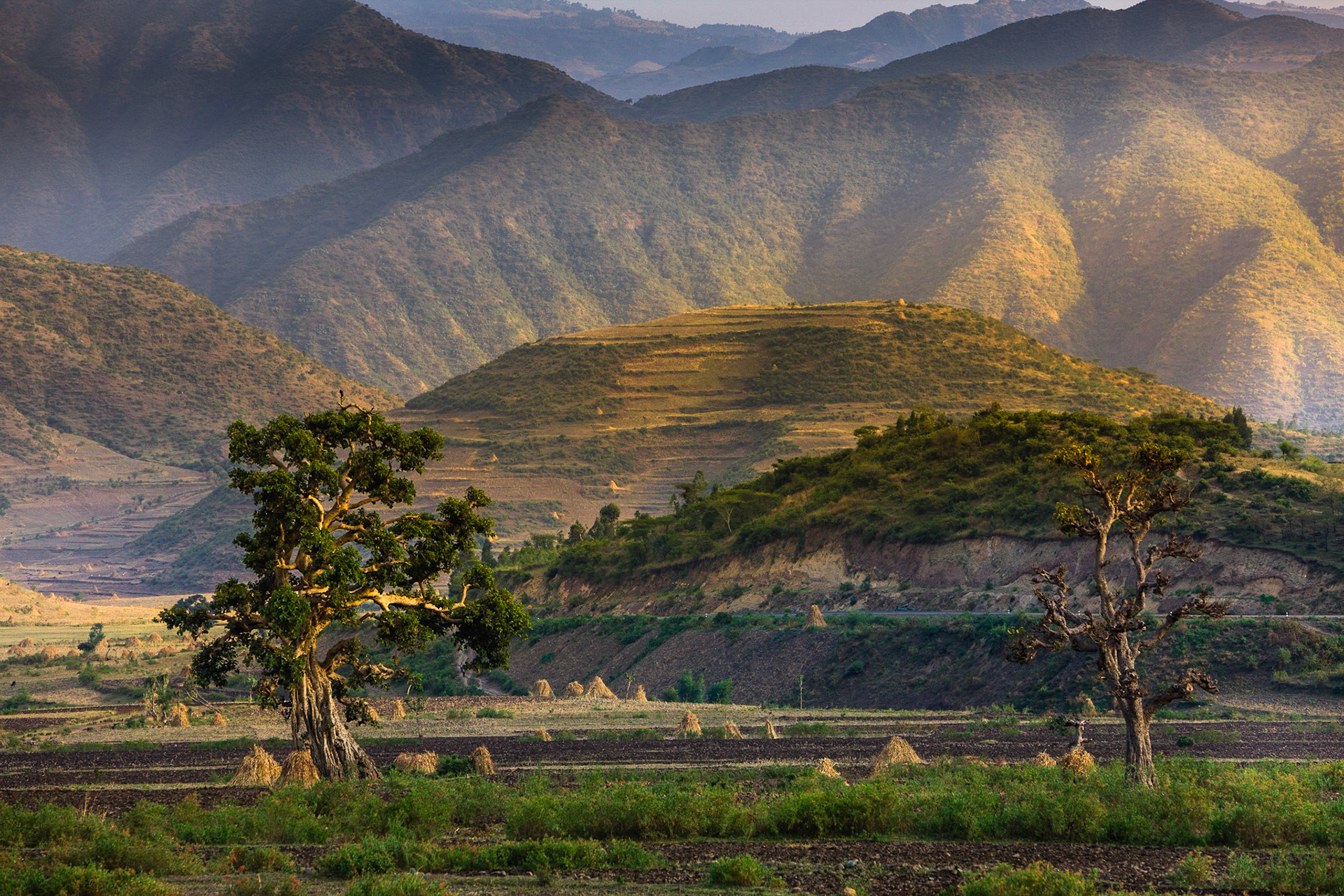 V lednu je na severu období sucha, a tak byly hory většinou vyprahlé a bez barvy. Obrovská vyschlá koryta řek ale naznačovala, že když už zaprší, je zde vody více než dost.