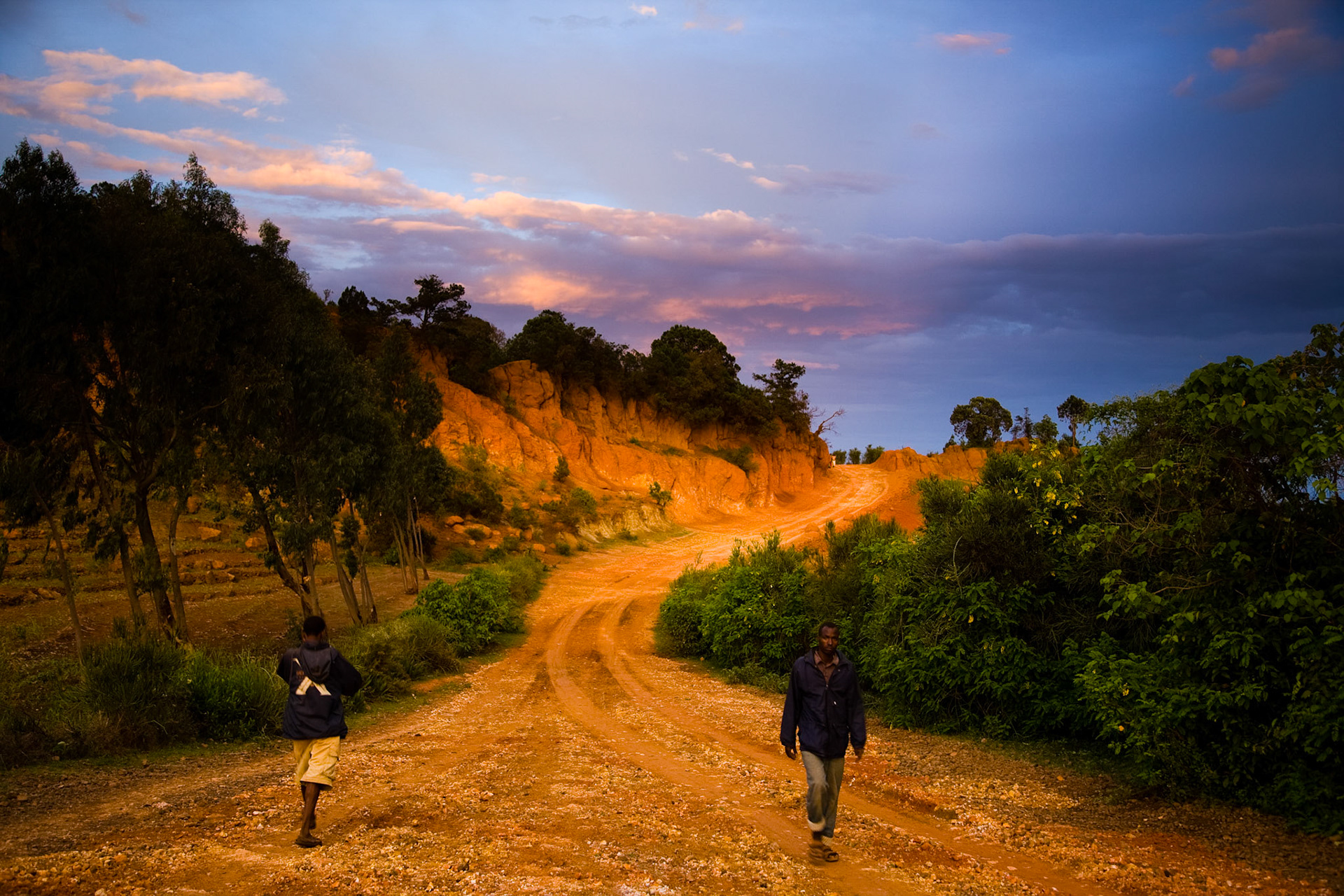 Zapadající slunce dává již tak načervenalé půdě ještě větší sytost.