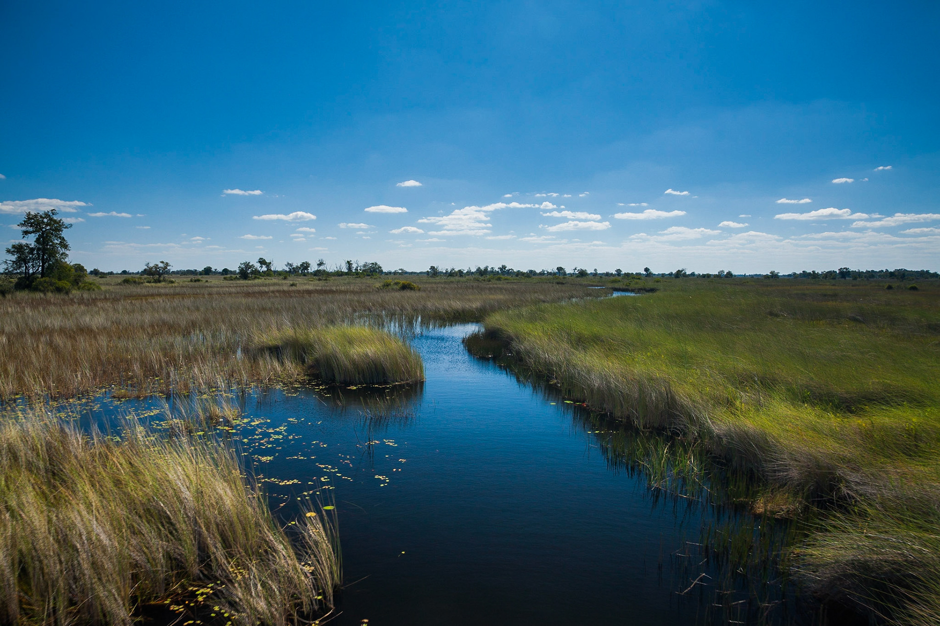 Další z možností jak poznat Okavango je pronajmout si loď. Na výběr máte hned z několika druhů. My jsme zvolili motorový člun s vyhlídkovou věží. Další možnost je klasický nízký motorák, ze kterého ale nic moc neuvidíte, a pak klasická mokoro kánoe vydlabaná z jednoho kmenu, anebo nově v rámci ochrany přírody vyrobená z laminátu:) Pro nmoho turistů je to i tak stále romantika:)) Já však doporučuji vynechat.