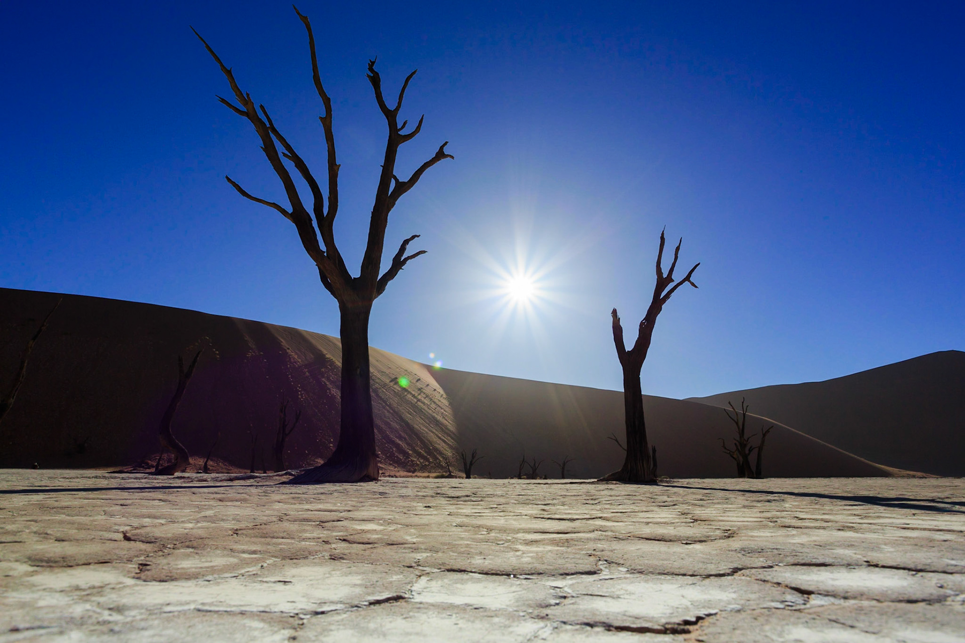 Sussusvlei Deadvlei - Namibia