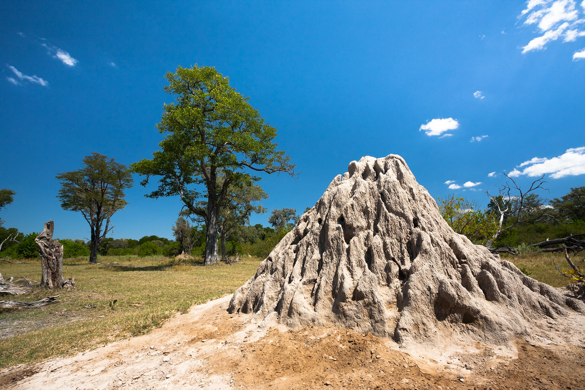 Terminiště jsou v Africe častým jevem a setkání s termištěm  ukrytým v trávě může pro váš offroad znamenat konec cesty.:)