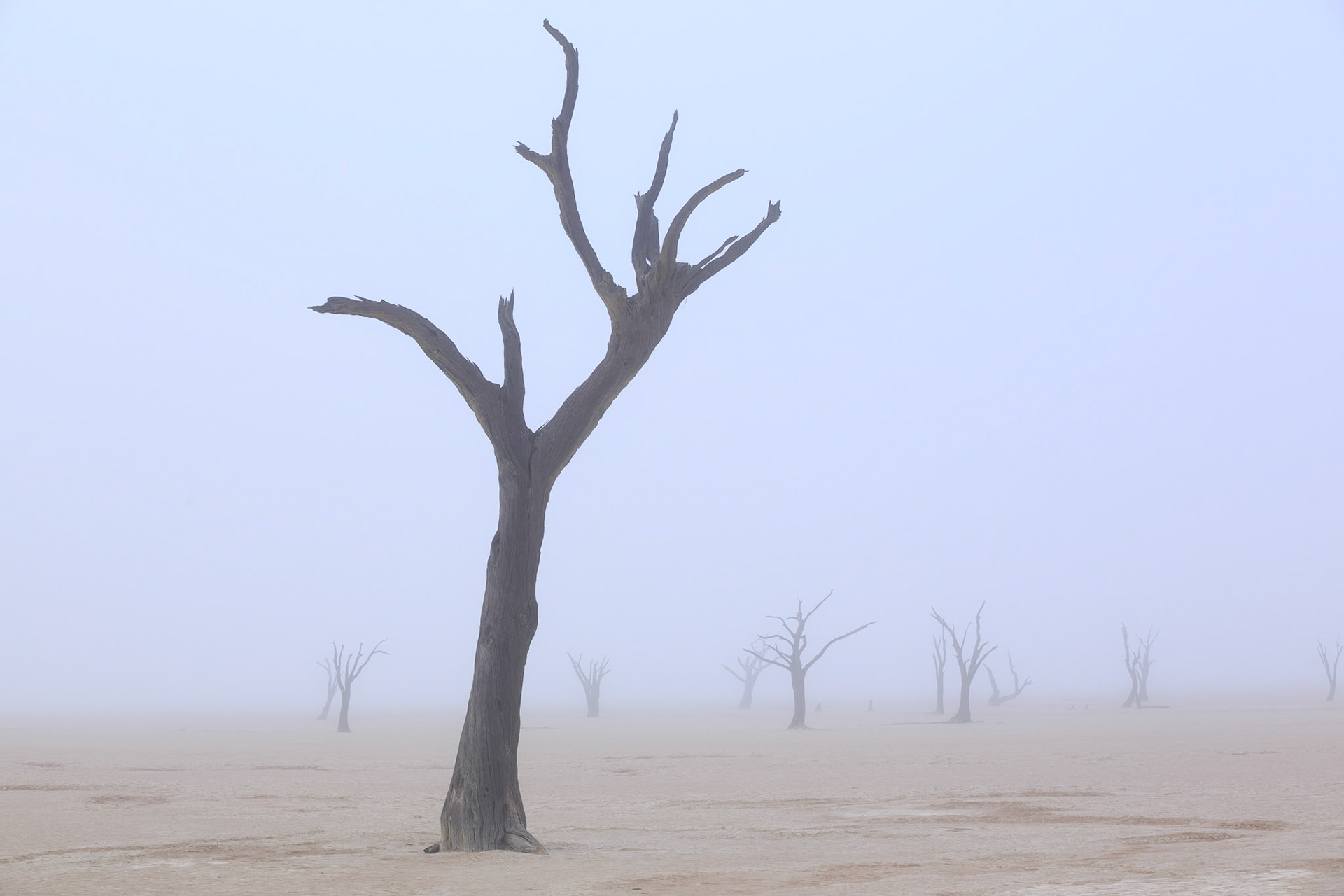 Sussusvlei Deadvlei - Namibia