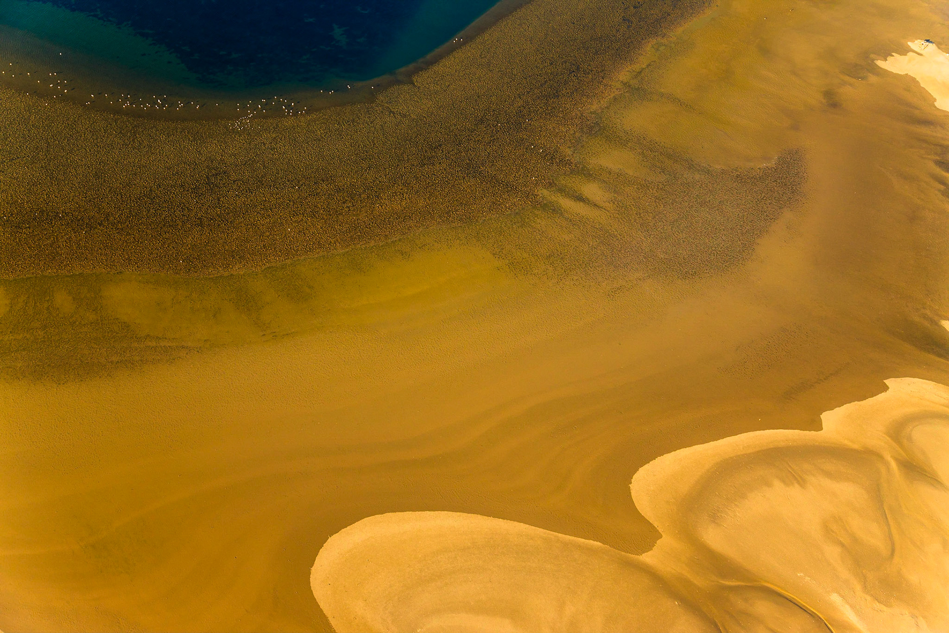 Namib není jen pouští nejvyšších písešných dun na světě, ale ve skutečnosti má opravdu mnohu tváří. Ty mnohdy zůstávají skryty právě uprostřed nedostupných dun, a tak nejlepší způsob vedoucí k jejich odhalení, je najmutí si letadla a pohled z nebe.
