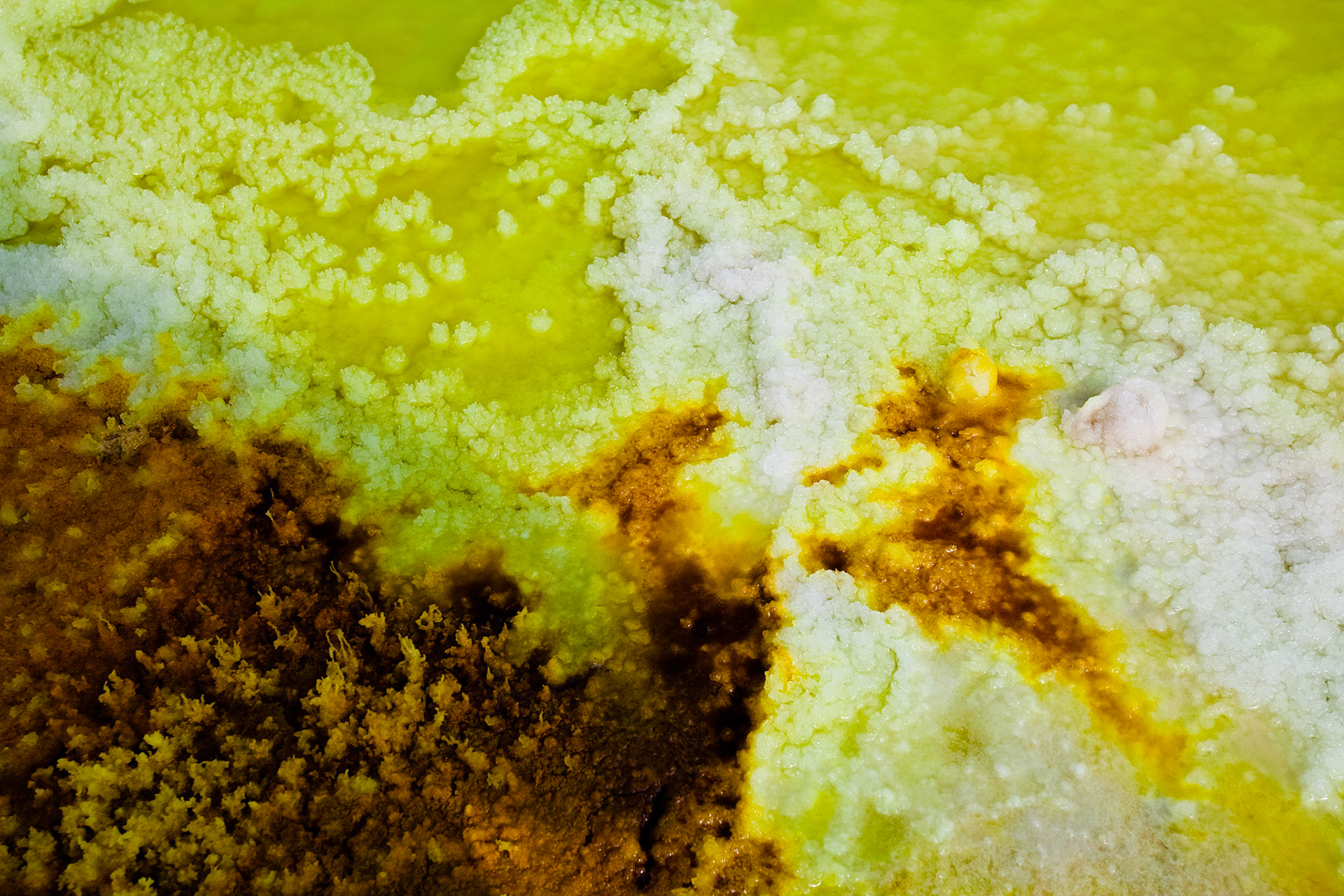 Dallol volcano in Danakil Depression - Afar region - Ethiopia