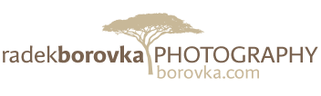 Radek Borovka