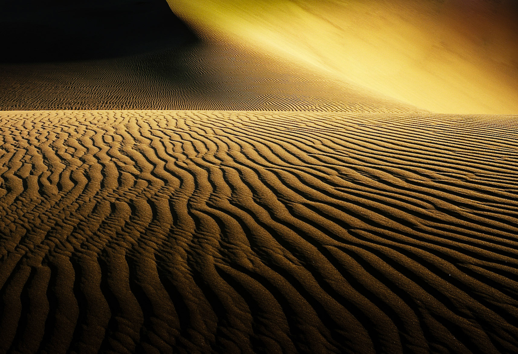 V nízkém zapadajícím slunci dokáže vítr a písek vykouzlit nespočet abstraktních motivů.