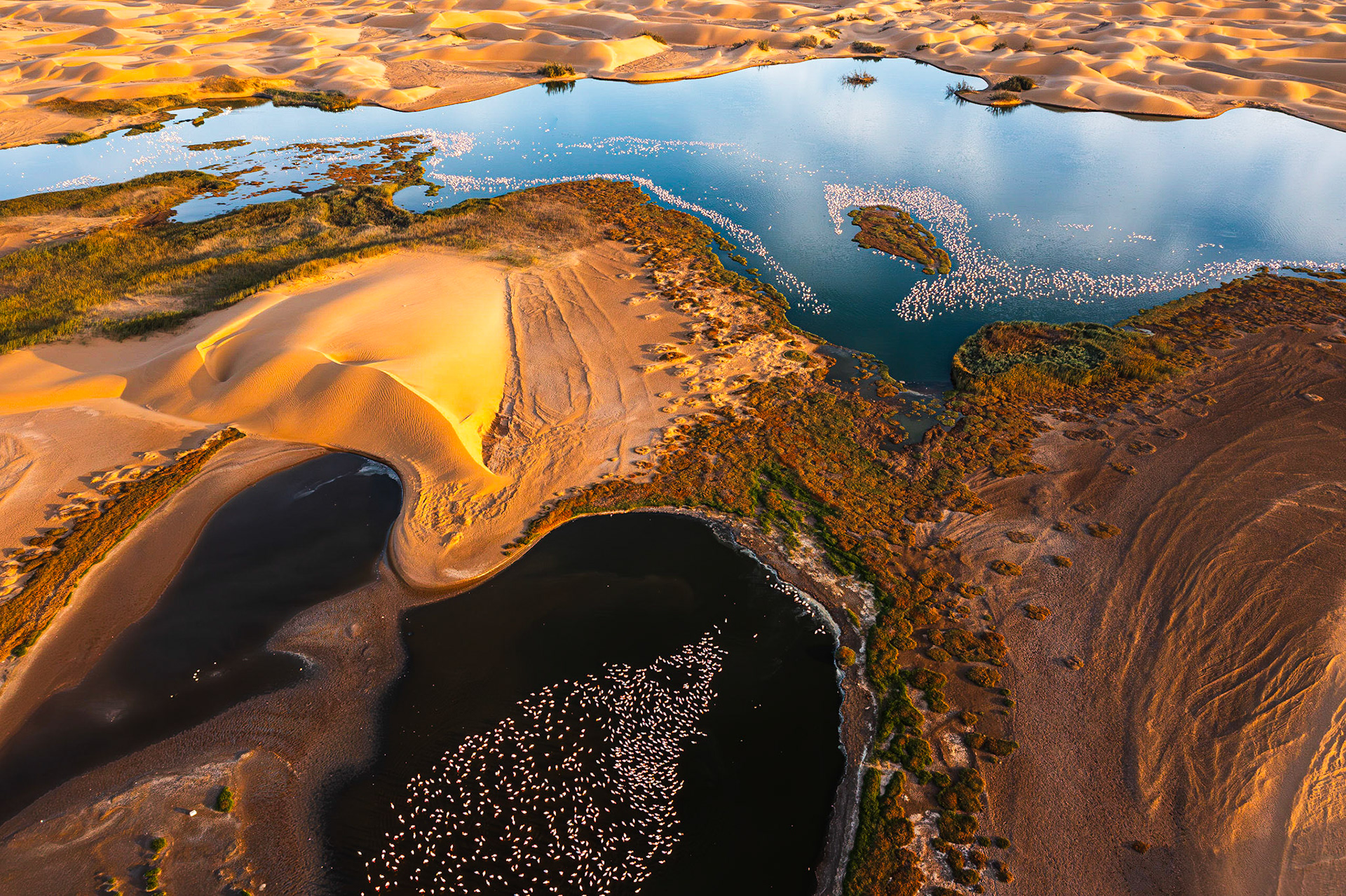 Desert scenery with saltwater lagoons full of beautiful flamingos. Namib-Nukluft National Park - Walvish Bay, Namibia