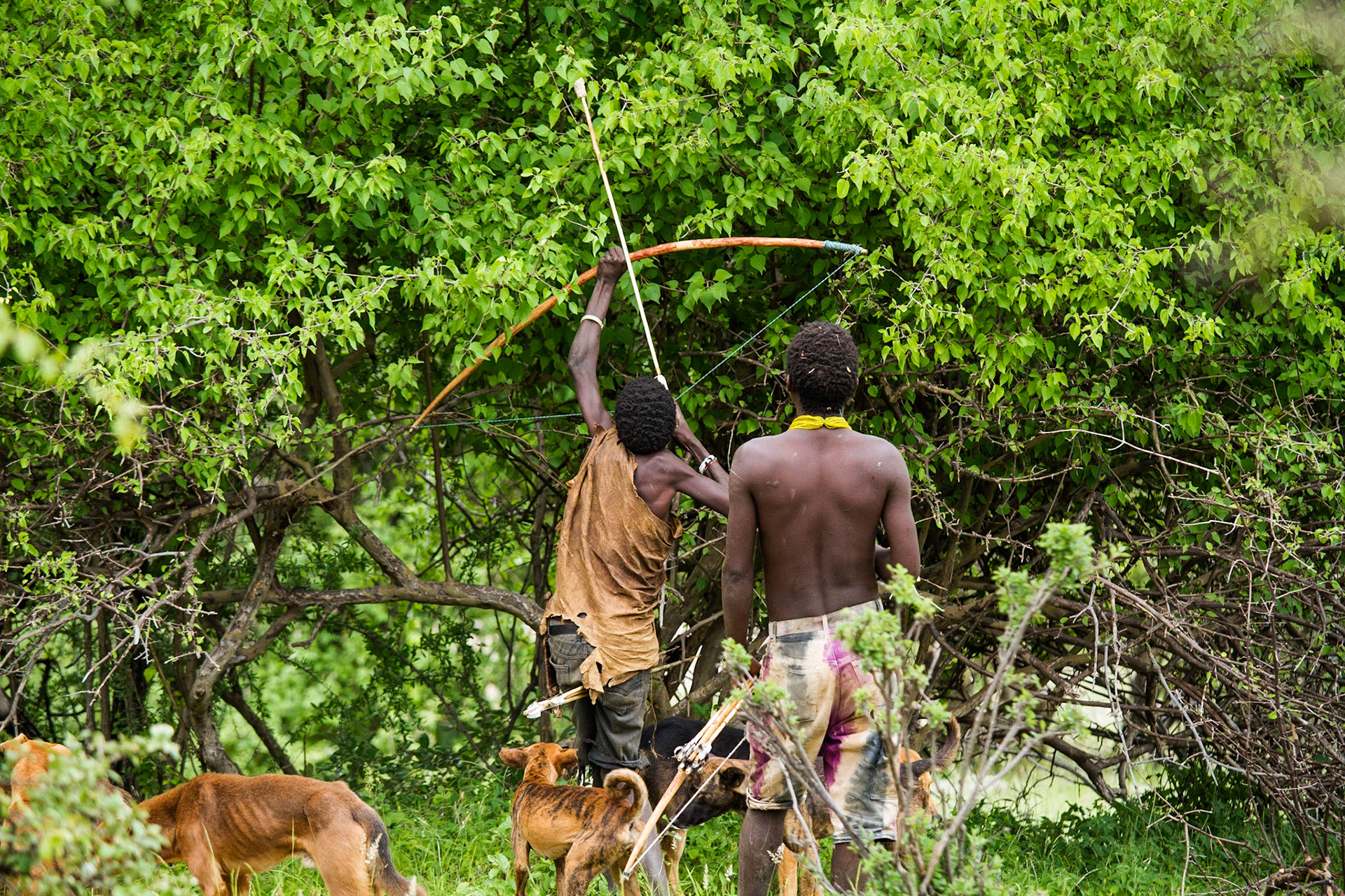 Hadza tribe, Lake Eyasi, Tanzania - 17 March 2011 / Lidé z kmene Hadza, Tanzánie, 2011