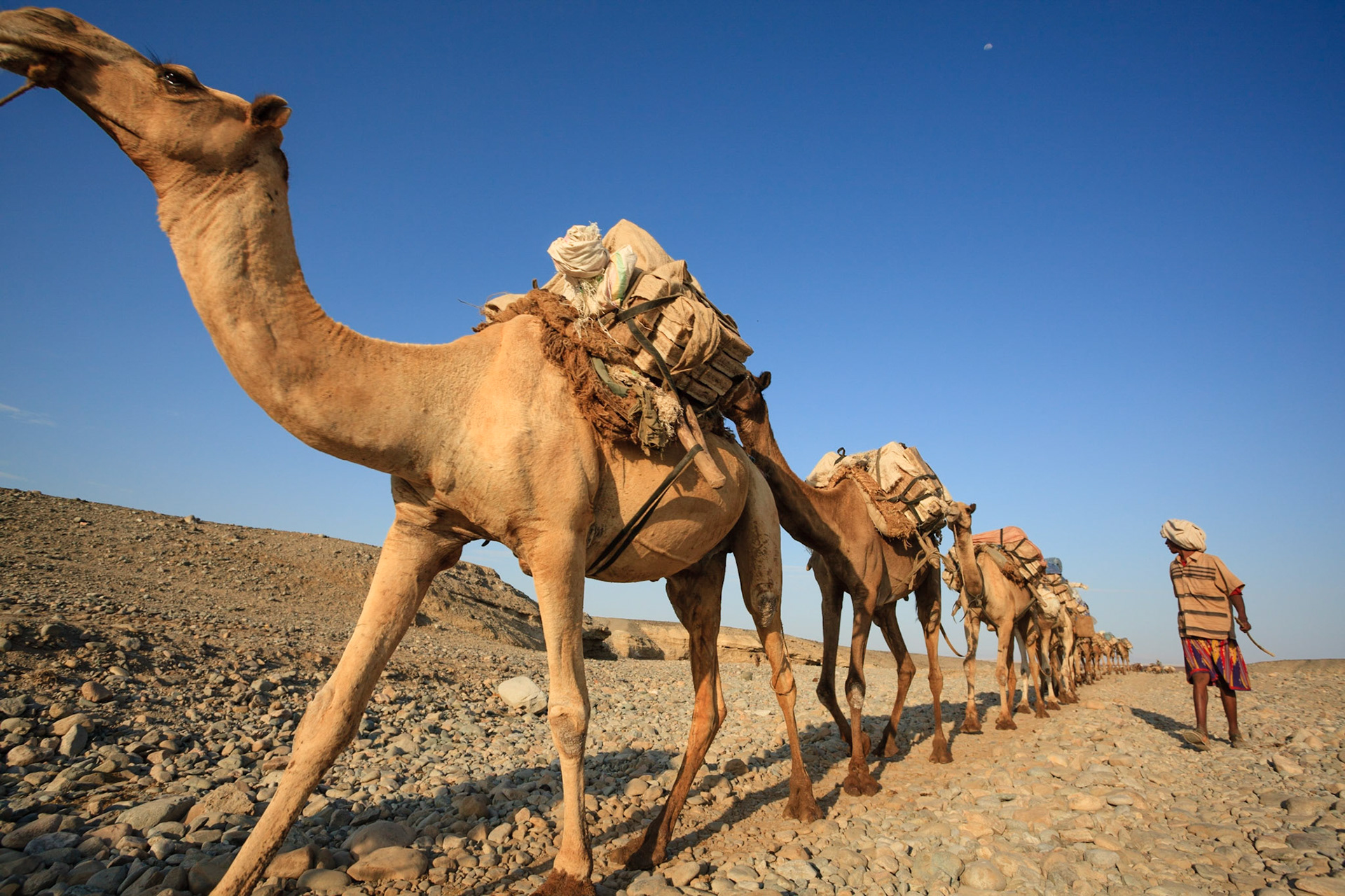 Všechny karavany putují údolíčkem vedle vesnice AHMED ELA. Ta je výchozím bodem pro návštěvu Dallolu a Erta Ale.