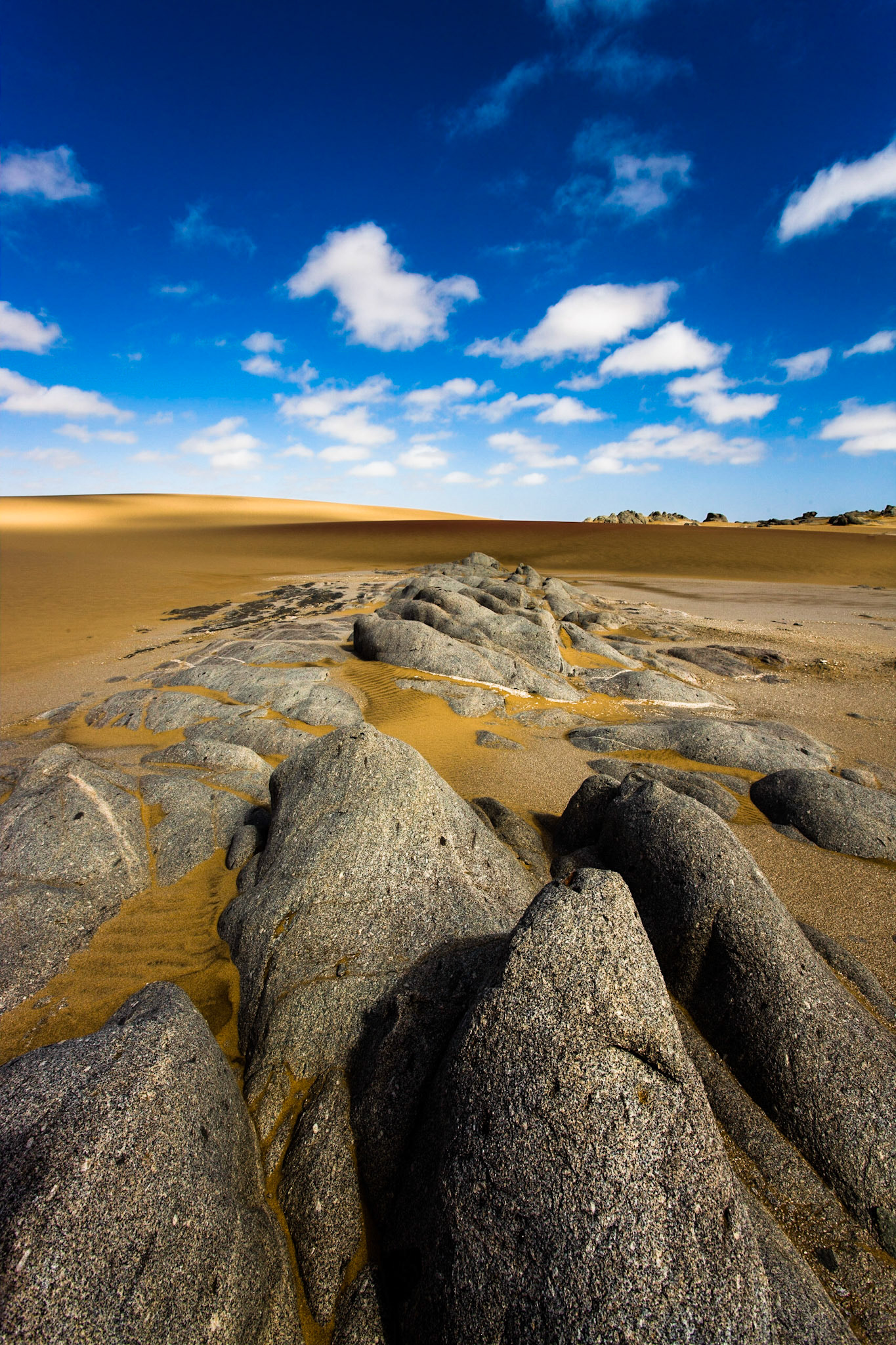 Namib desert - Namibia