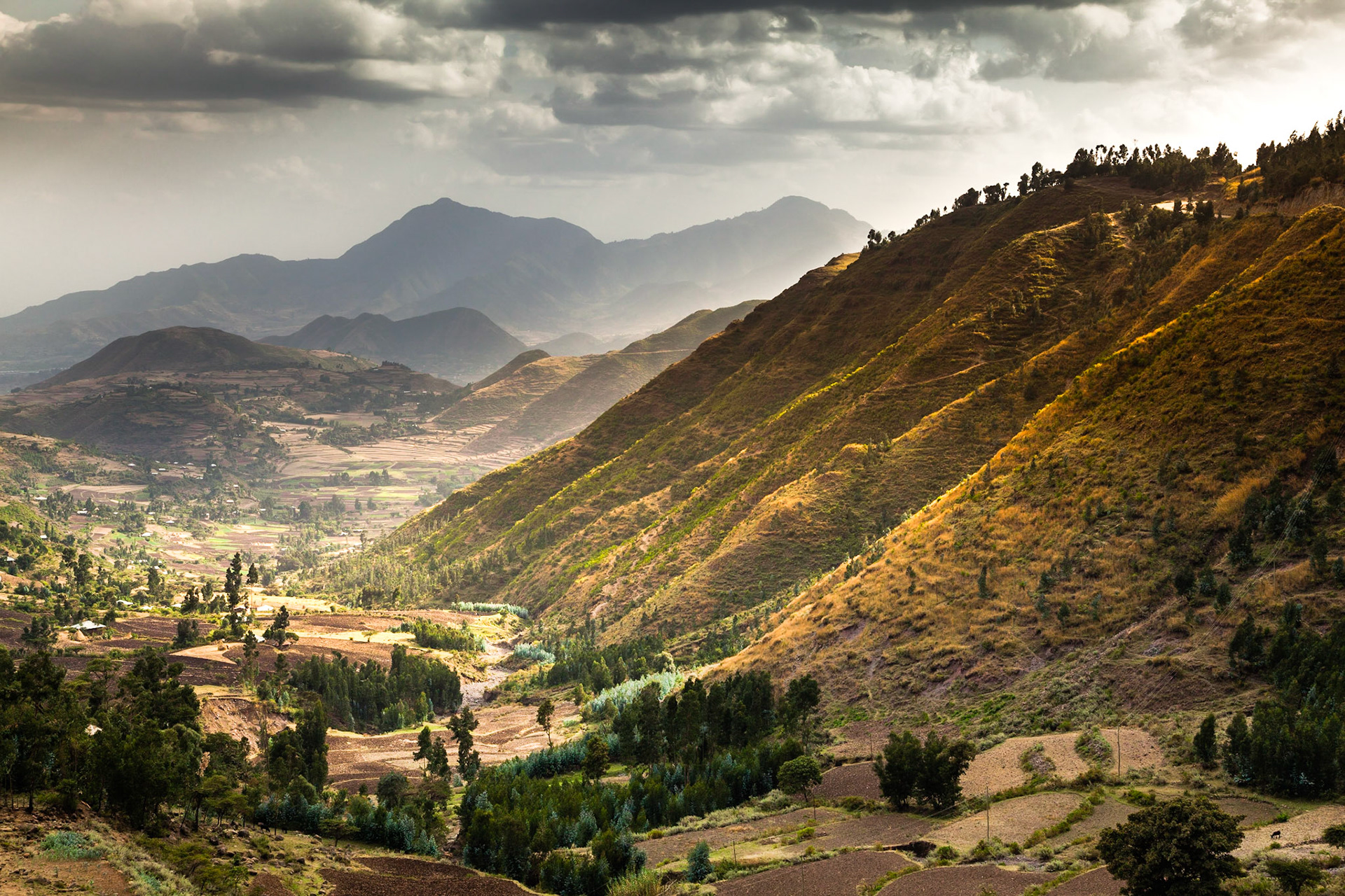 Sever Etiopie je opravdu velice hornatý. Průměrná výška je přibližně 2000 km n.m., ale rozmezí, ve kterém jsme se pohybovali, bylo cca od -100m - 4300 m.