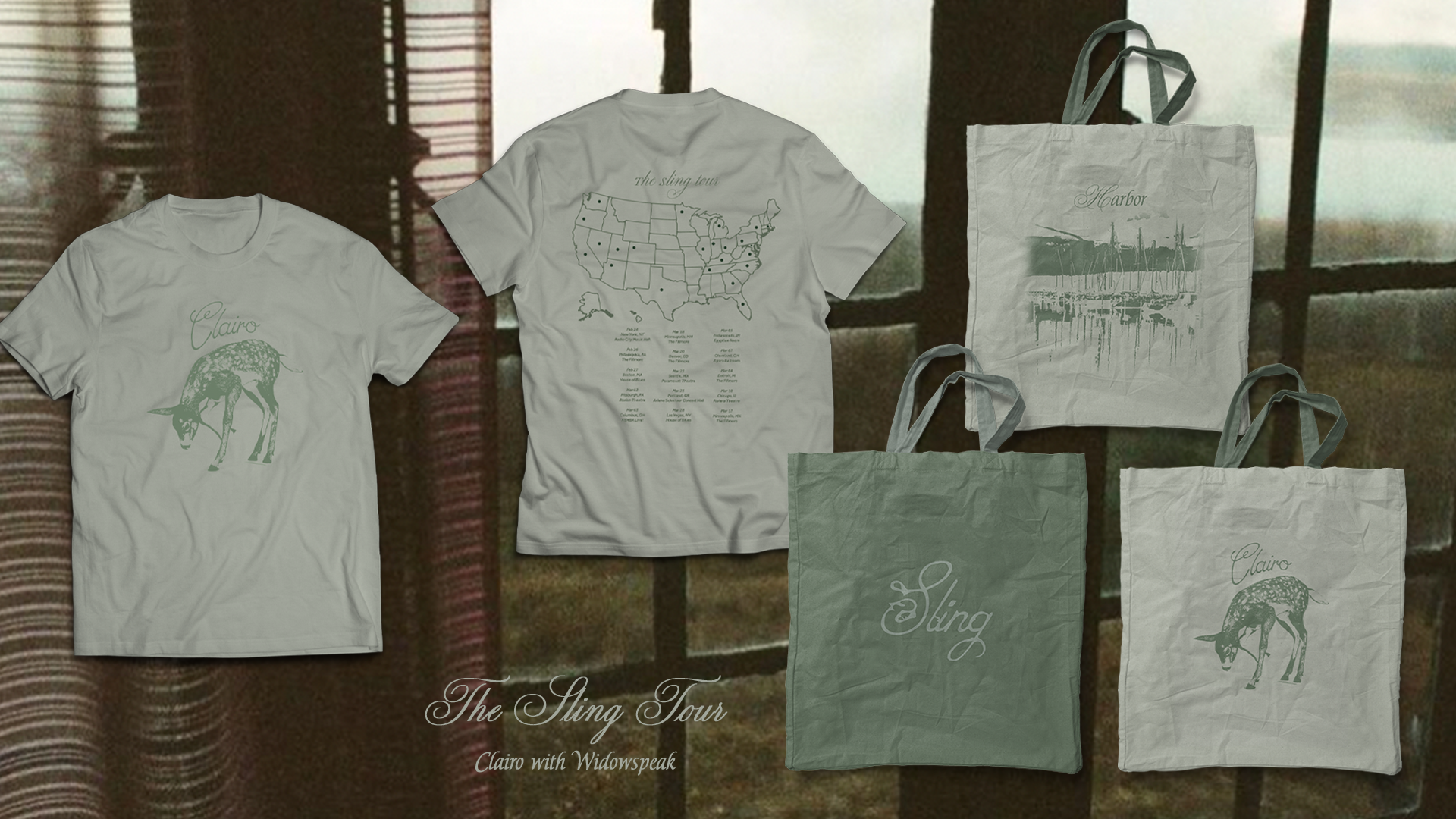 Clairo 'The Sling Tour' Merchandise Concept