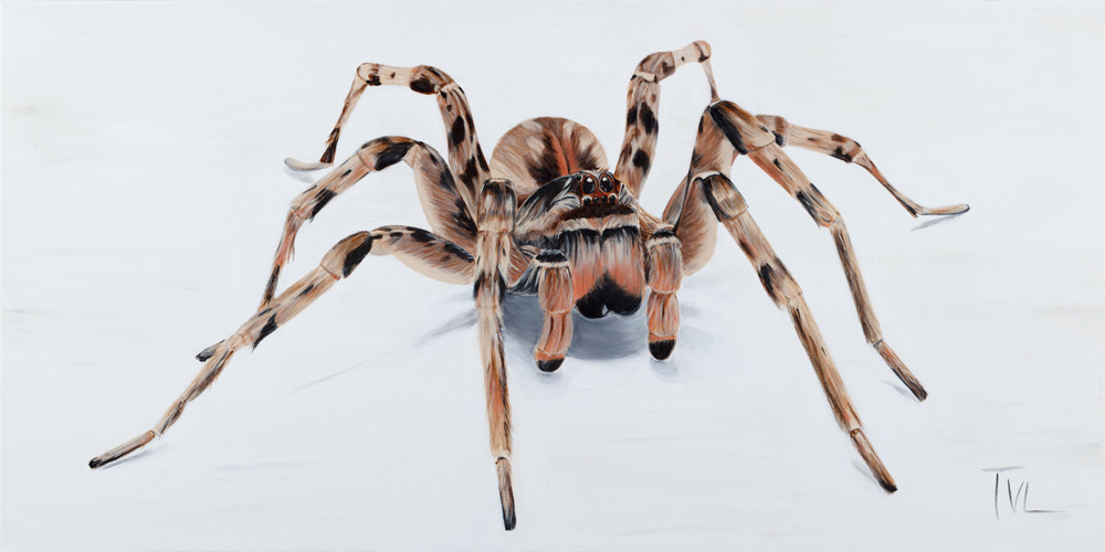 MAUD THE WOLF SPIDER - 48 x 24 Acrylic on Canvas $540