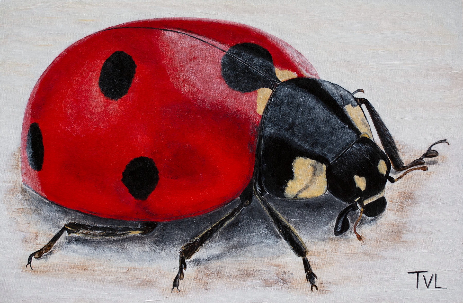 LUCILLE THE LADYBUG 36 x 24 Acrylic on Canvas $450