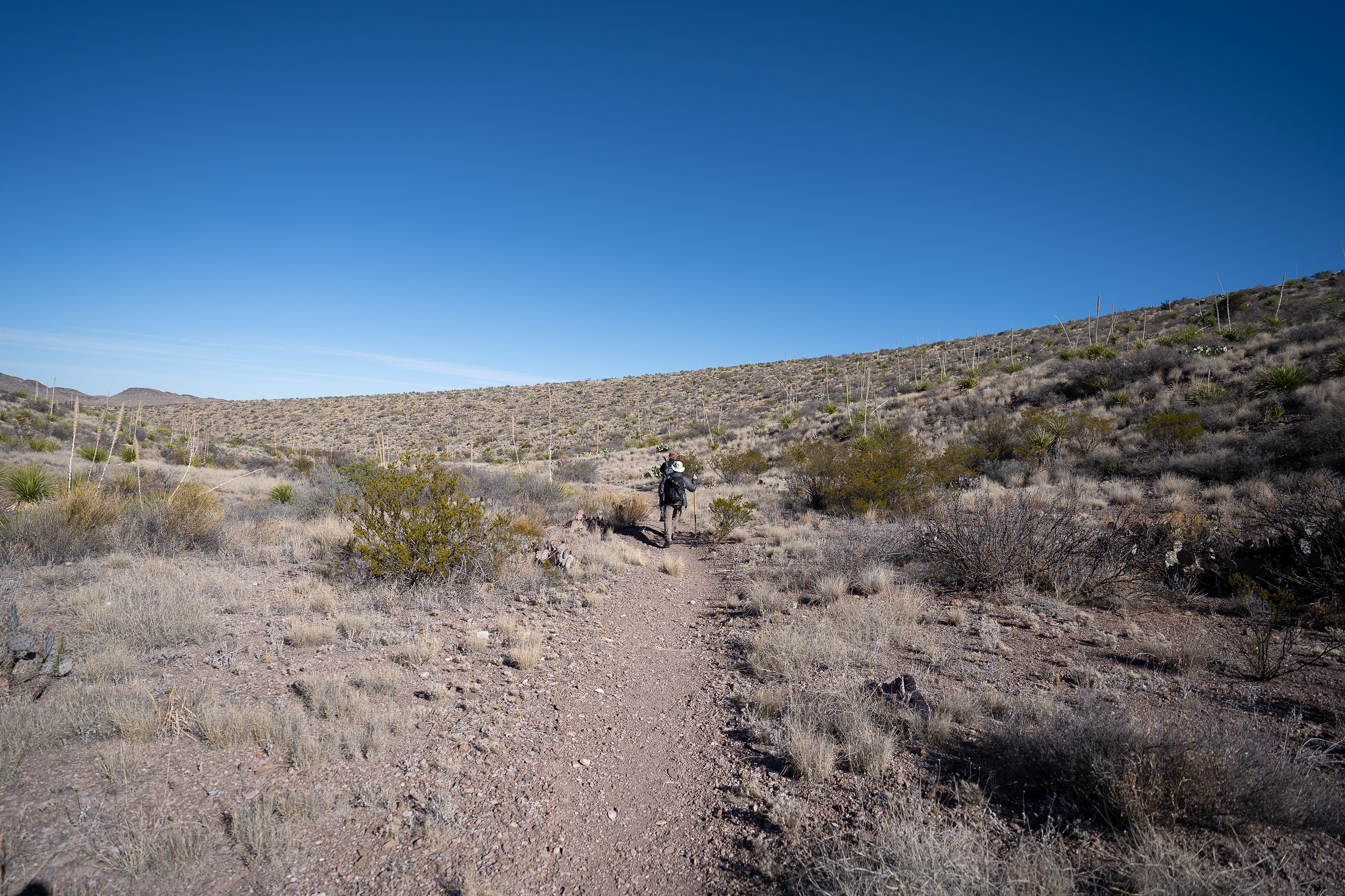 The Wash Less Traveled 