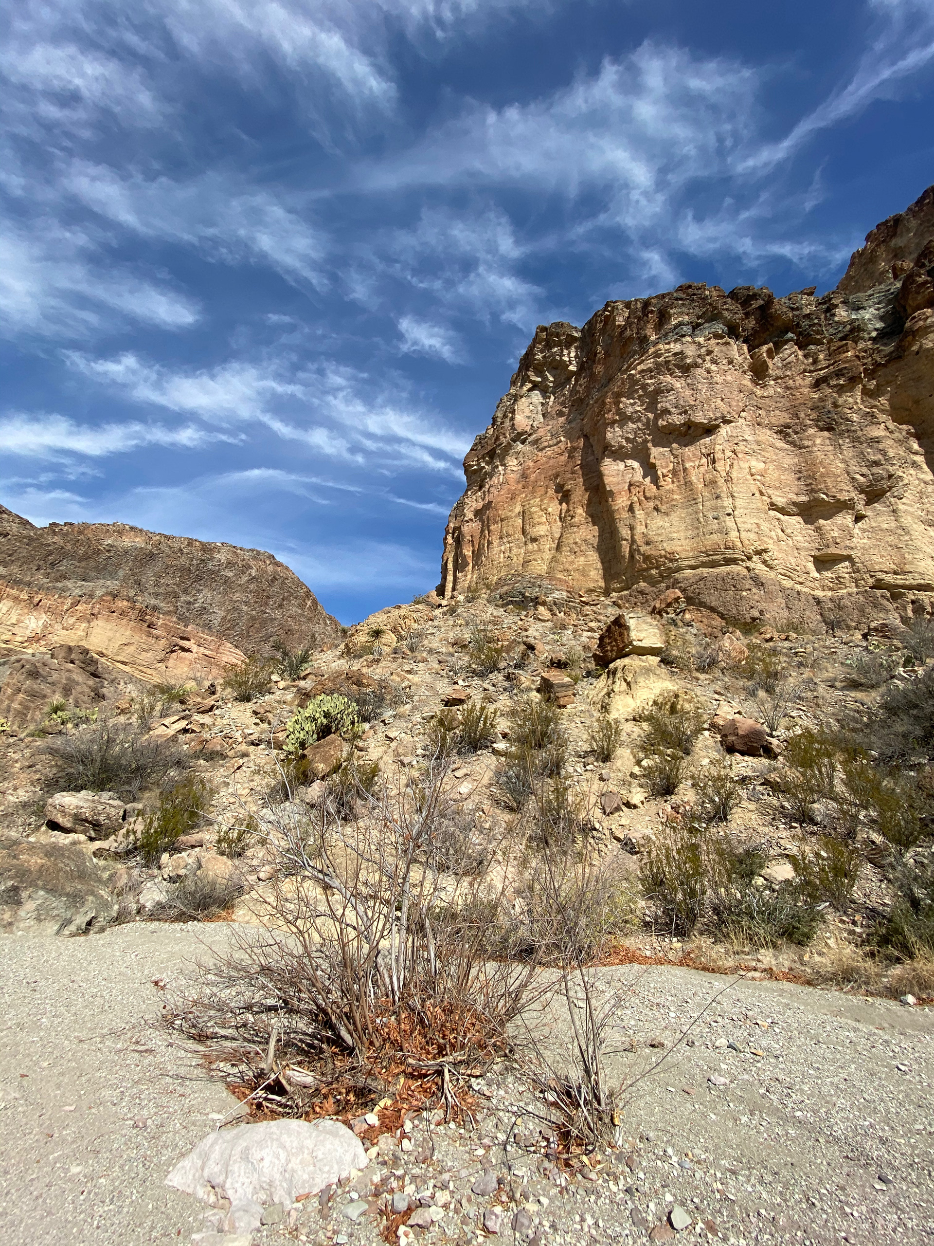 Trails of Big Bend