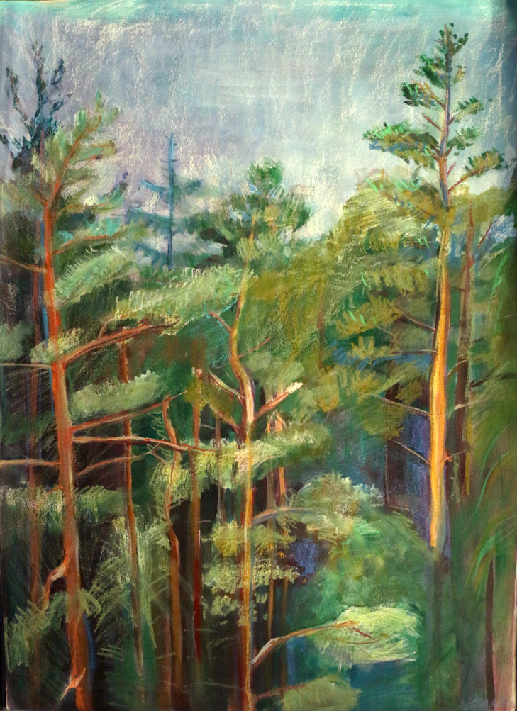 Acrylic and pastel on paper 70x100