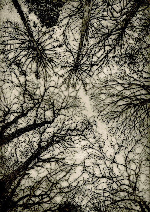 Etching 3/3 on arches paper 2023