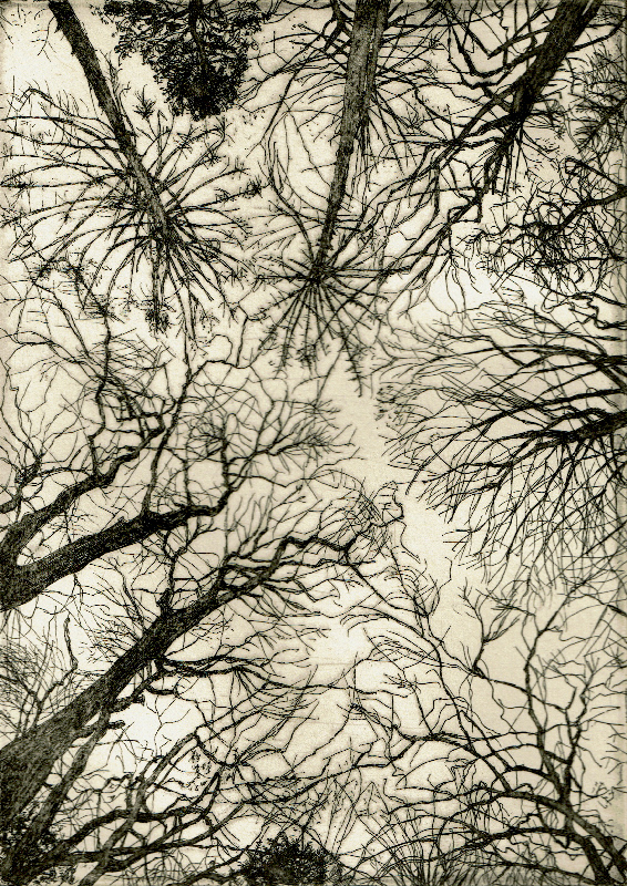 Etching 1/3 on arches paper 2023