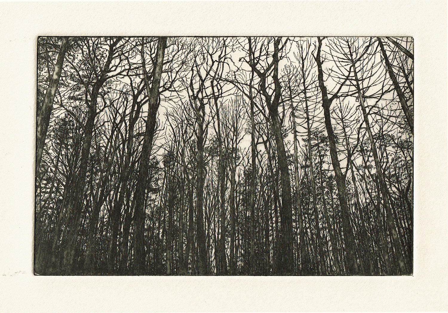 Etching 1/6 on arches paper 2023