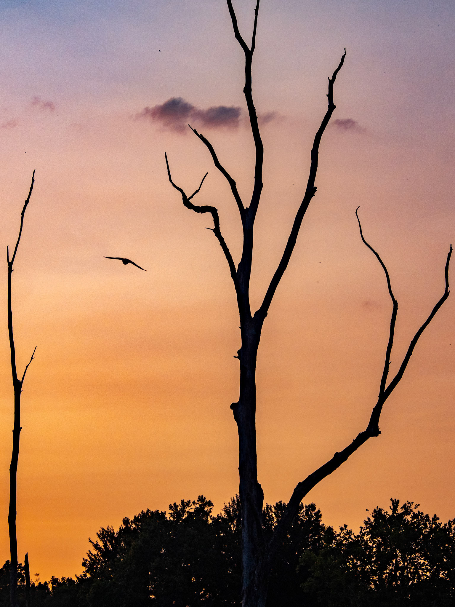 Cuyahoga Valley National Park