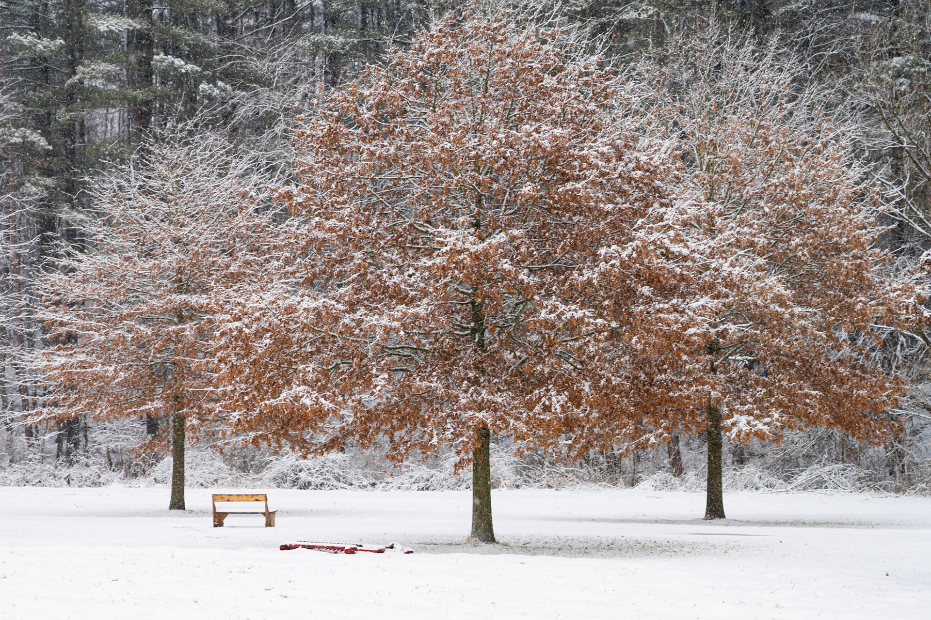 Cuyahoga Valley National Park