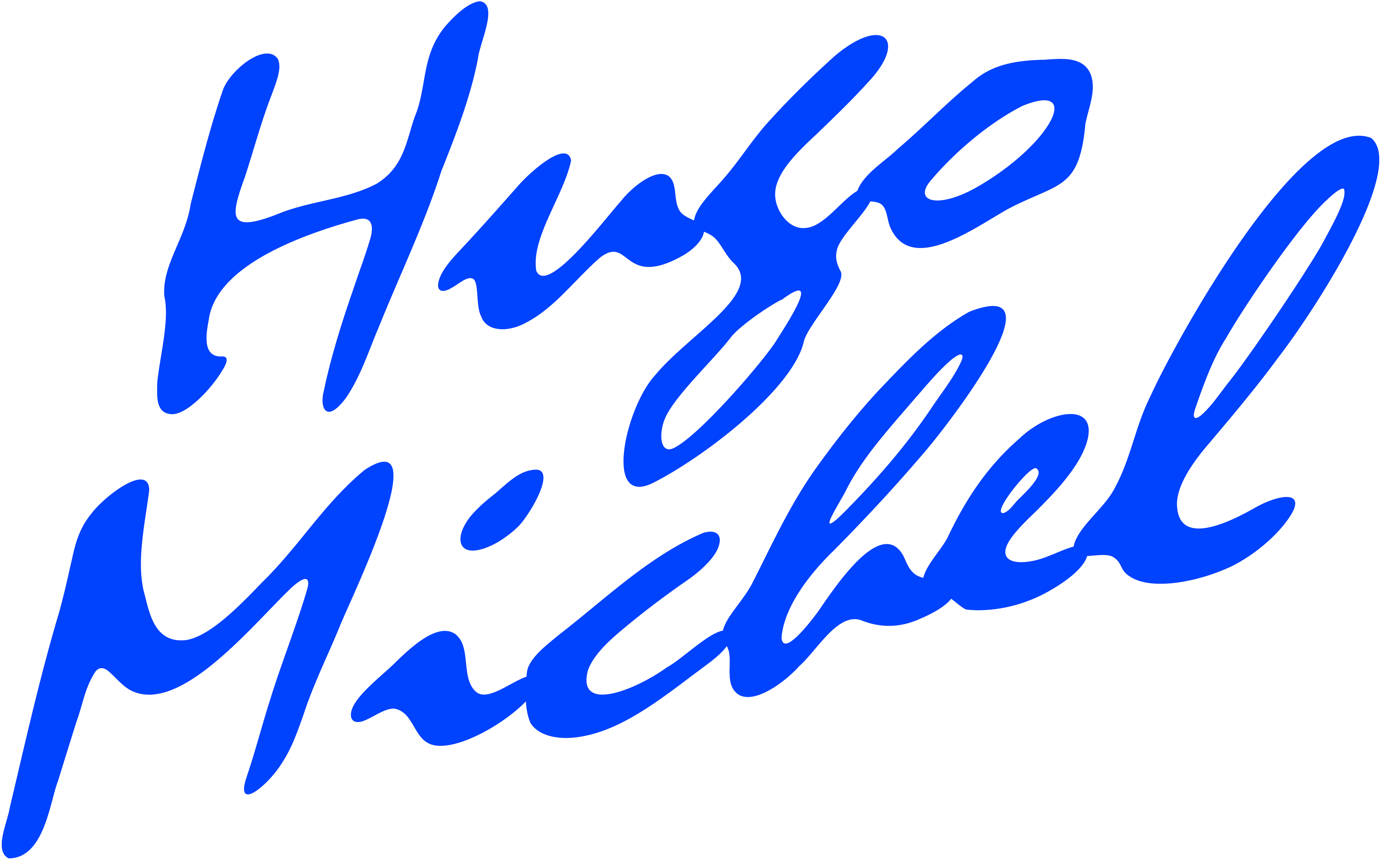 Hugo MICHEL