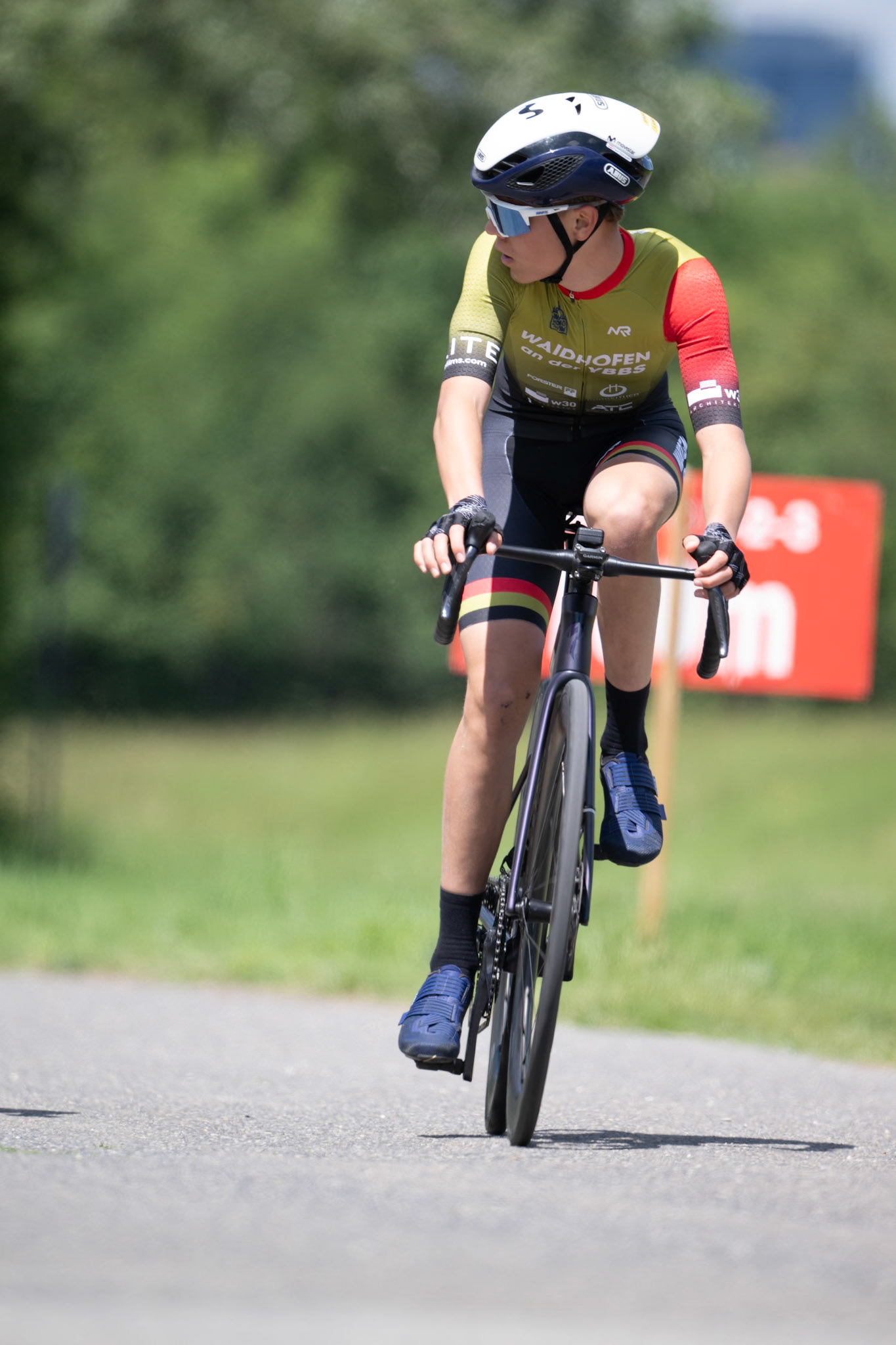VICCRD3-LEE00203