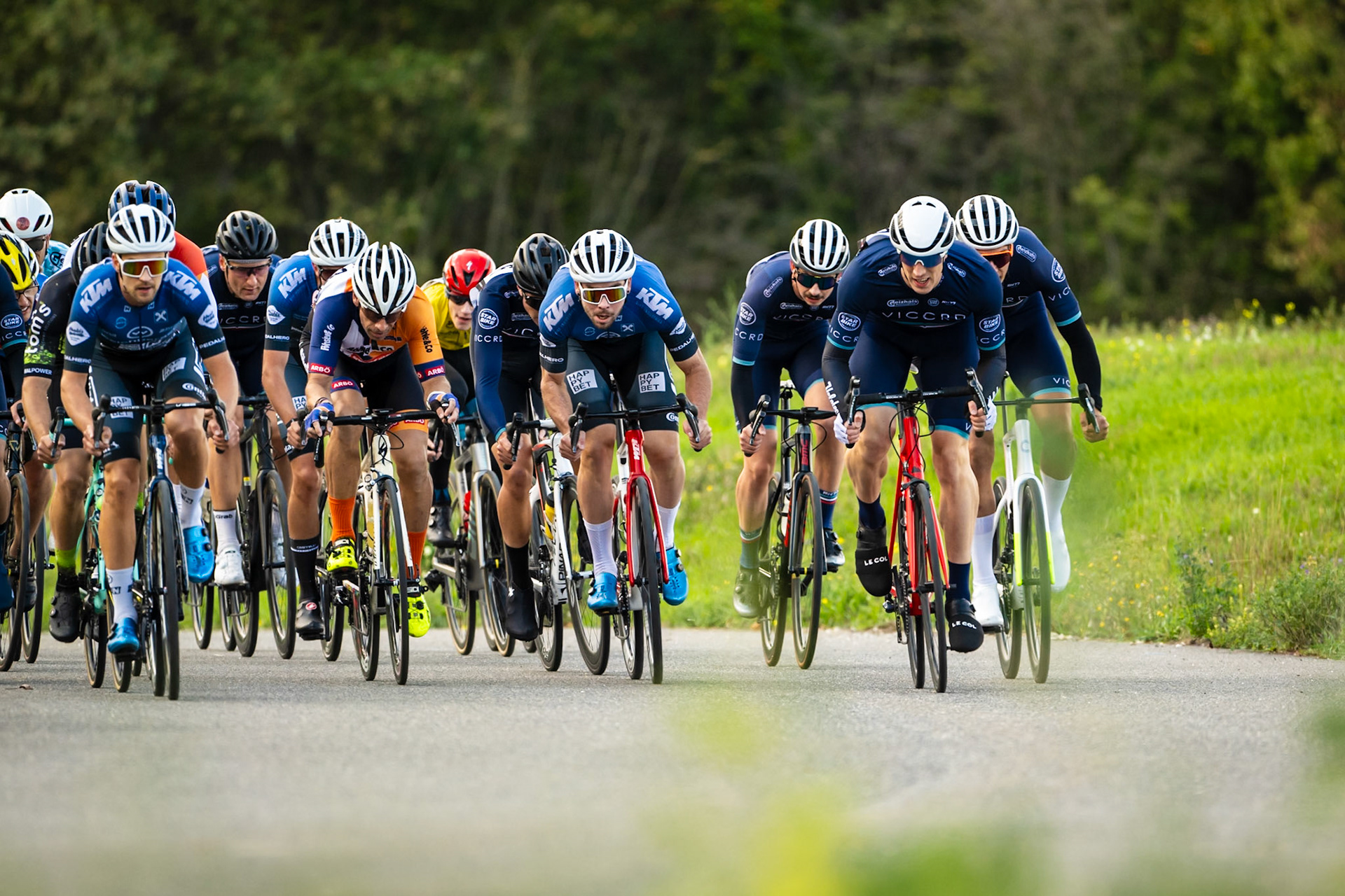 VICCRD6-LEE00233