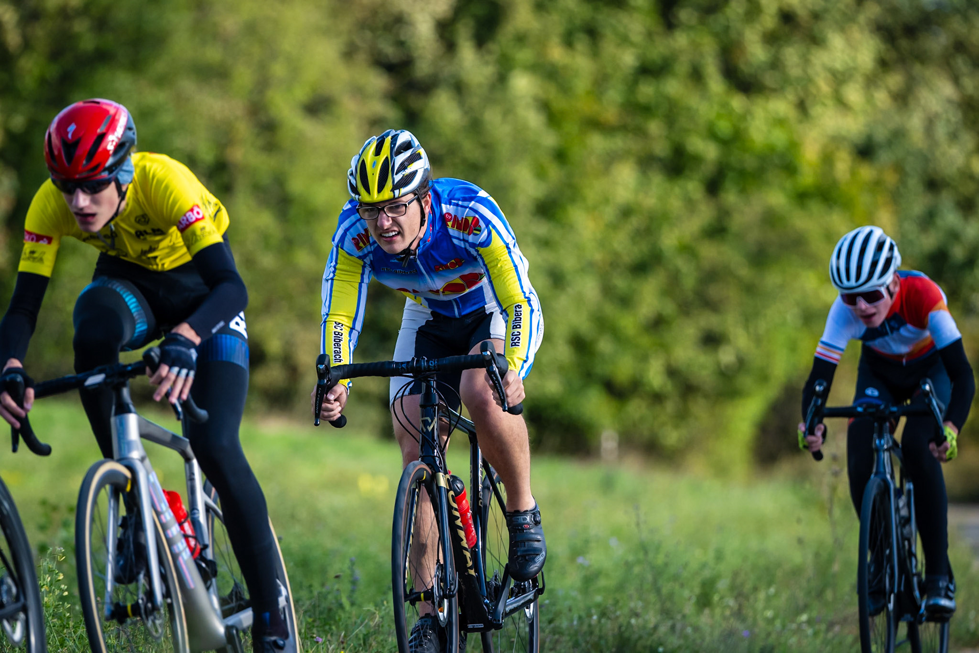 VICCRD6-LEE00260