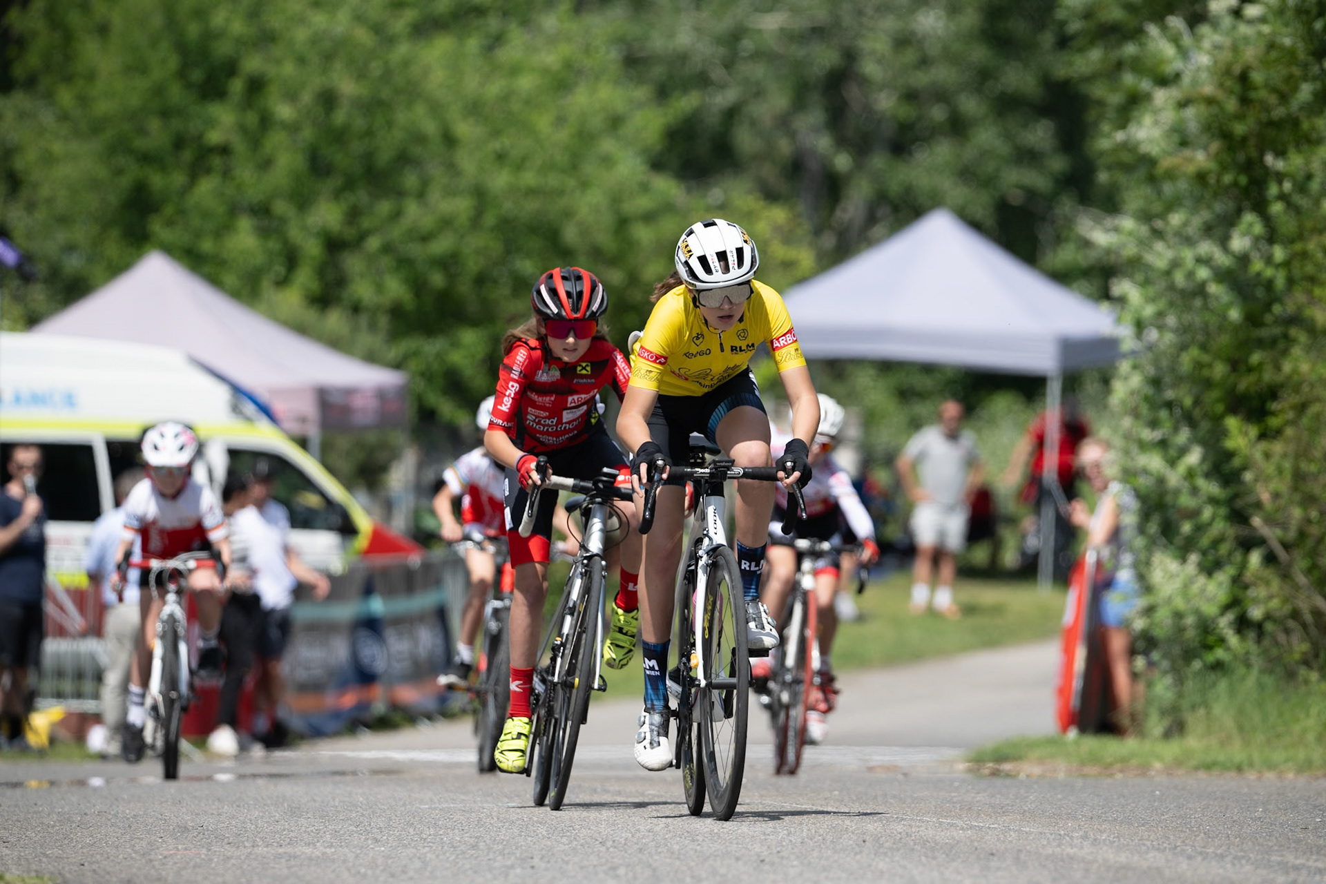 VICCRD3-LEE00126