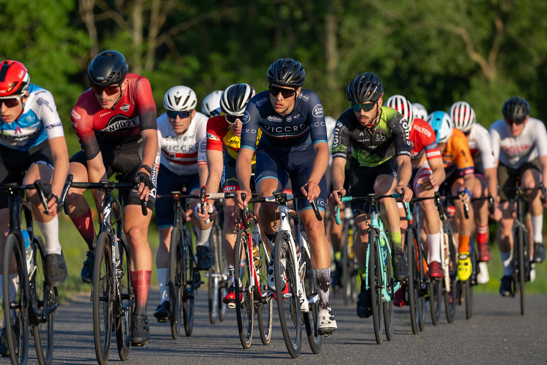 VICCRD1-LEE00269