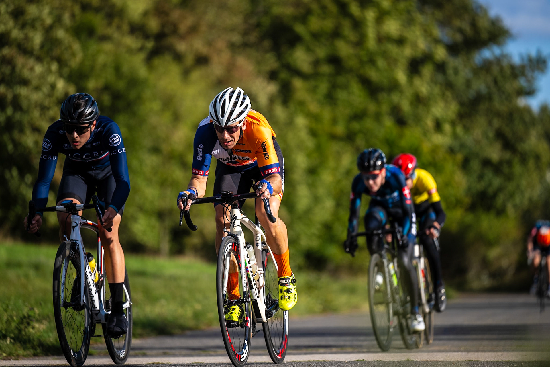 VICCRD6-LEE00278