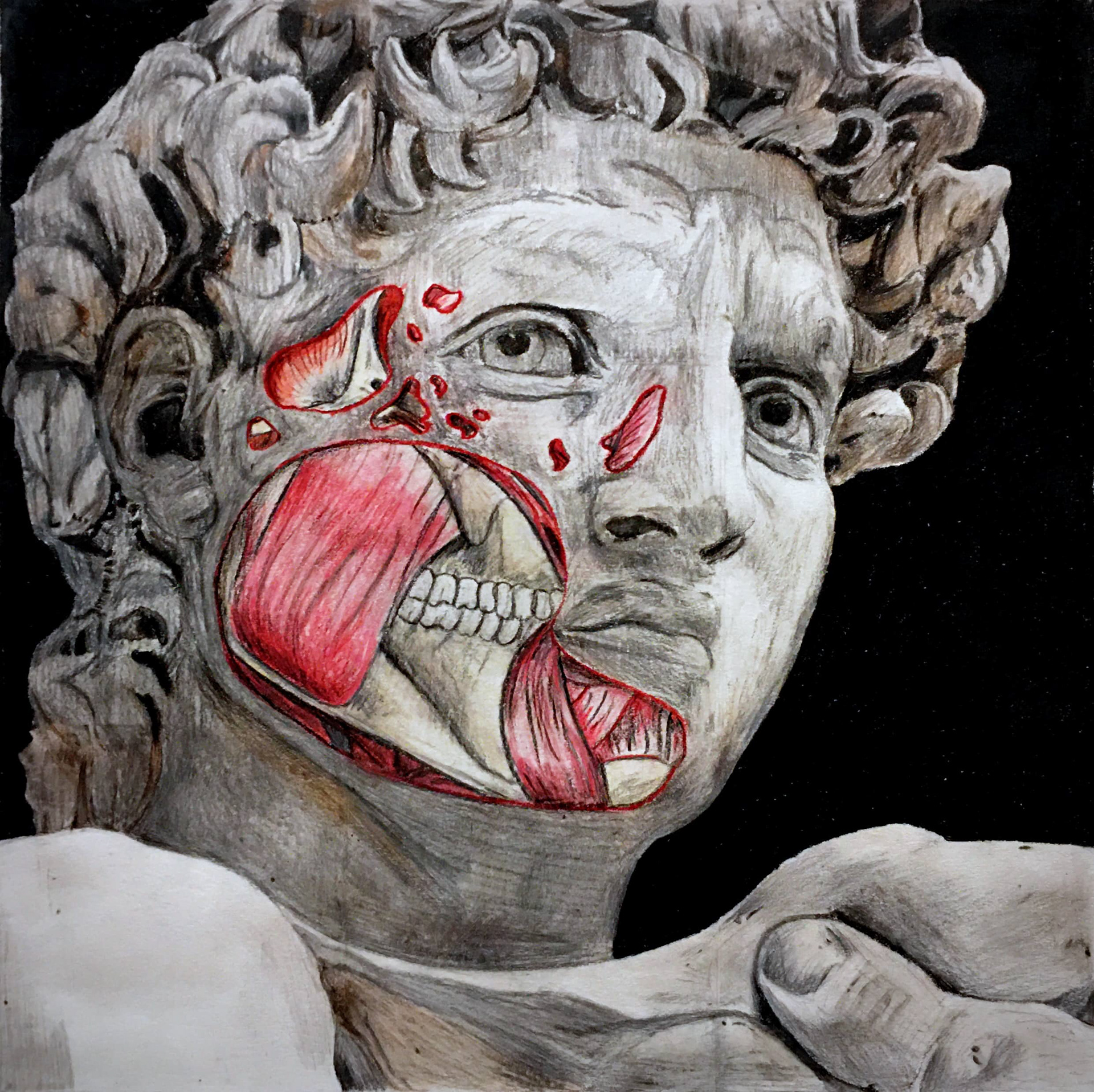 Anatomy of Michelangelo's David