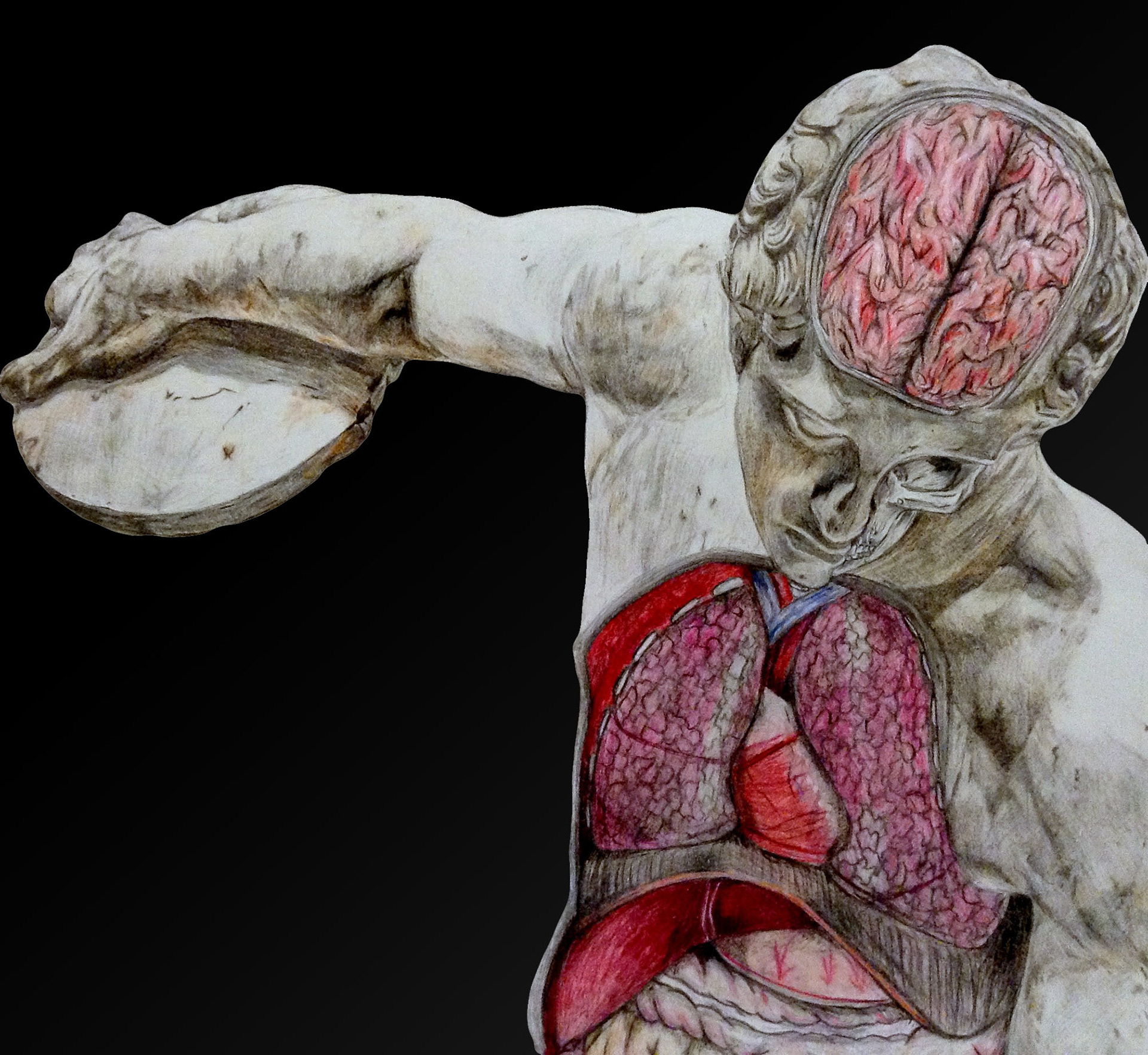 Anatomy of Myron's Discobolus