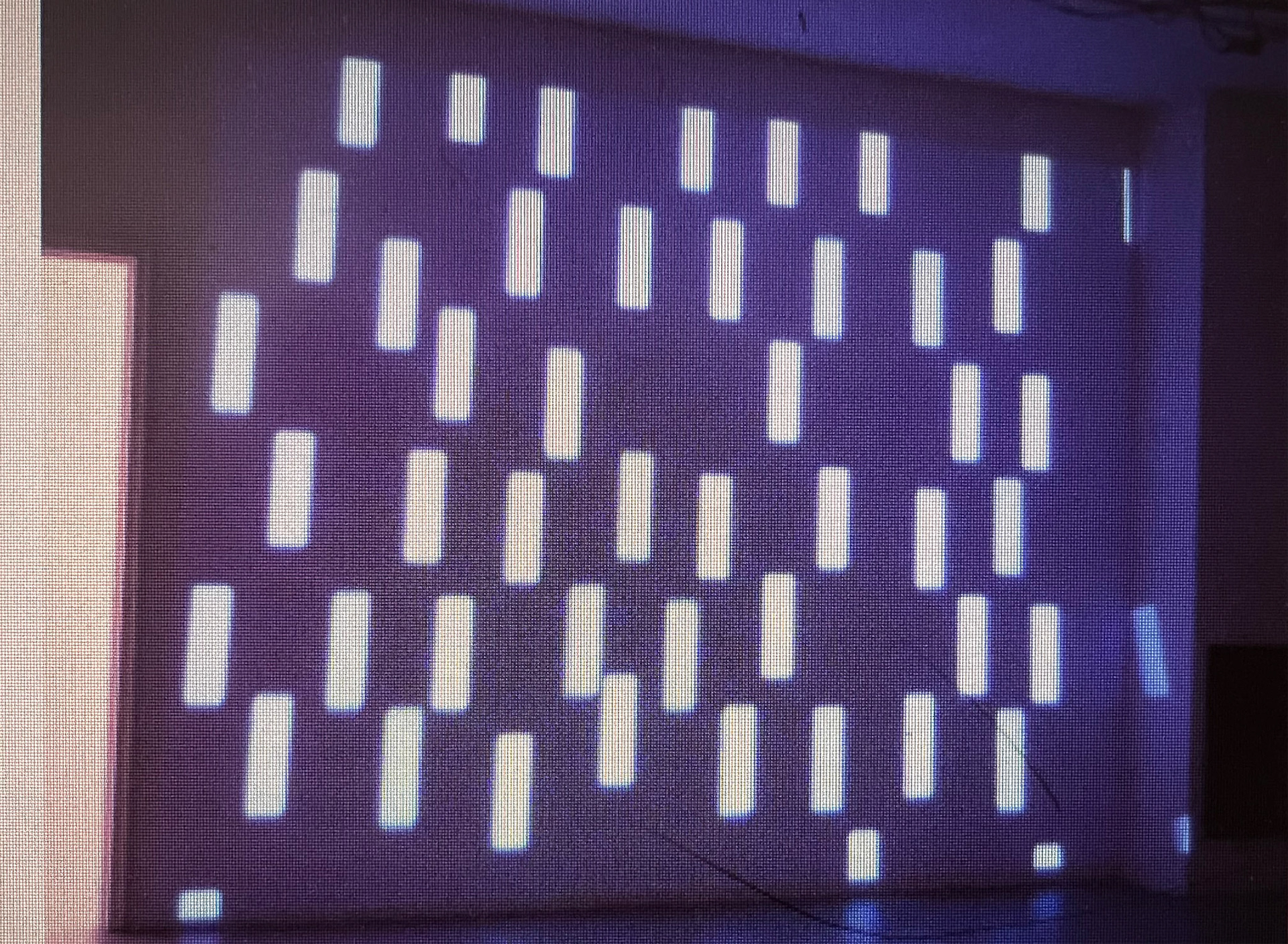 Video Screening "I Remember" 2002