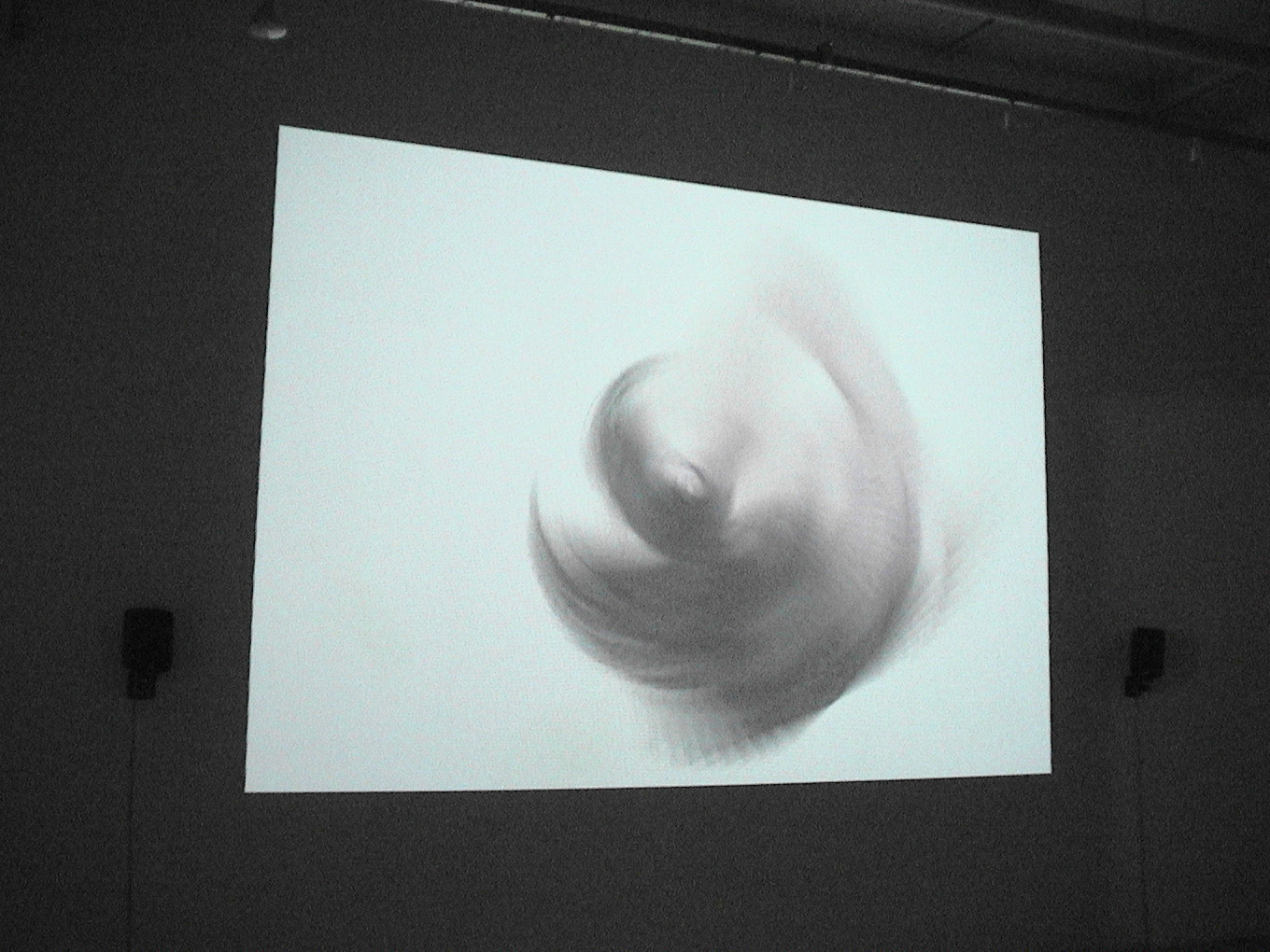 Video Screening view "Are you lonesome tonight? "2002