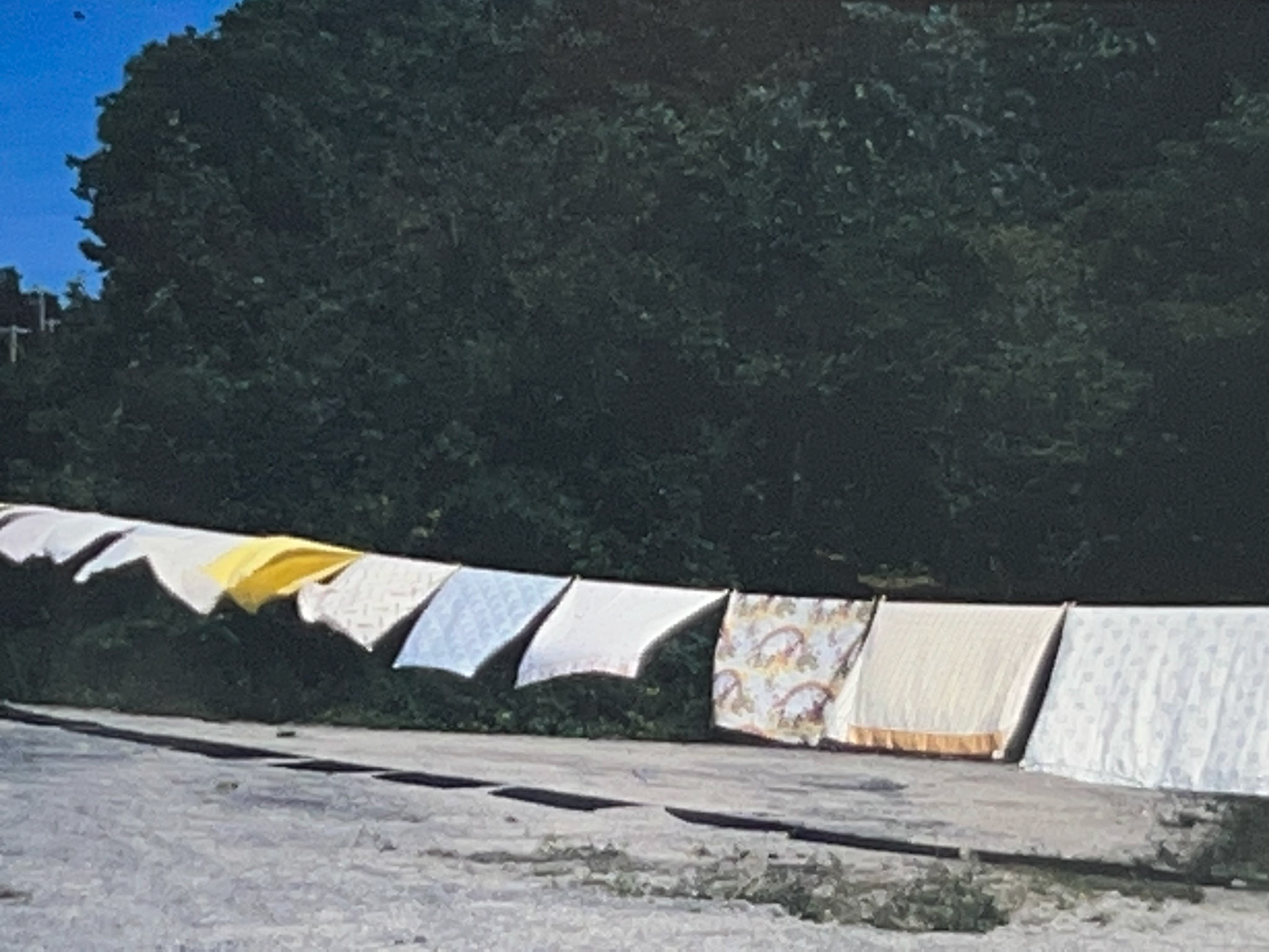 "a Line of sheets" 1999 North Adams MA