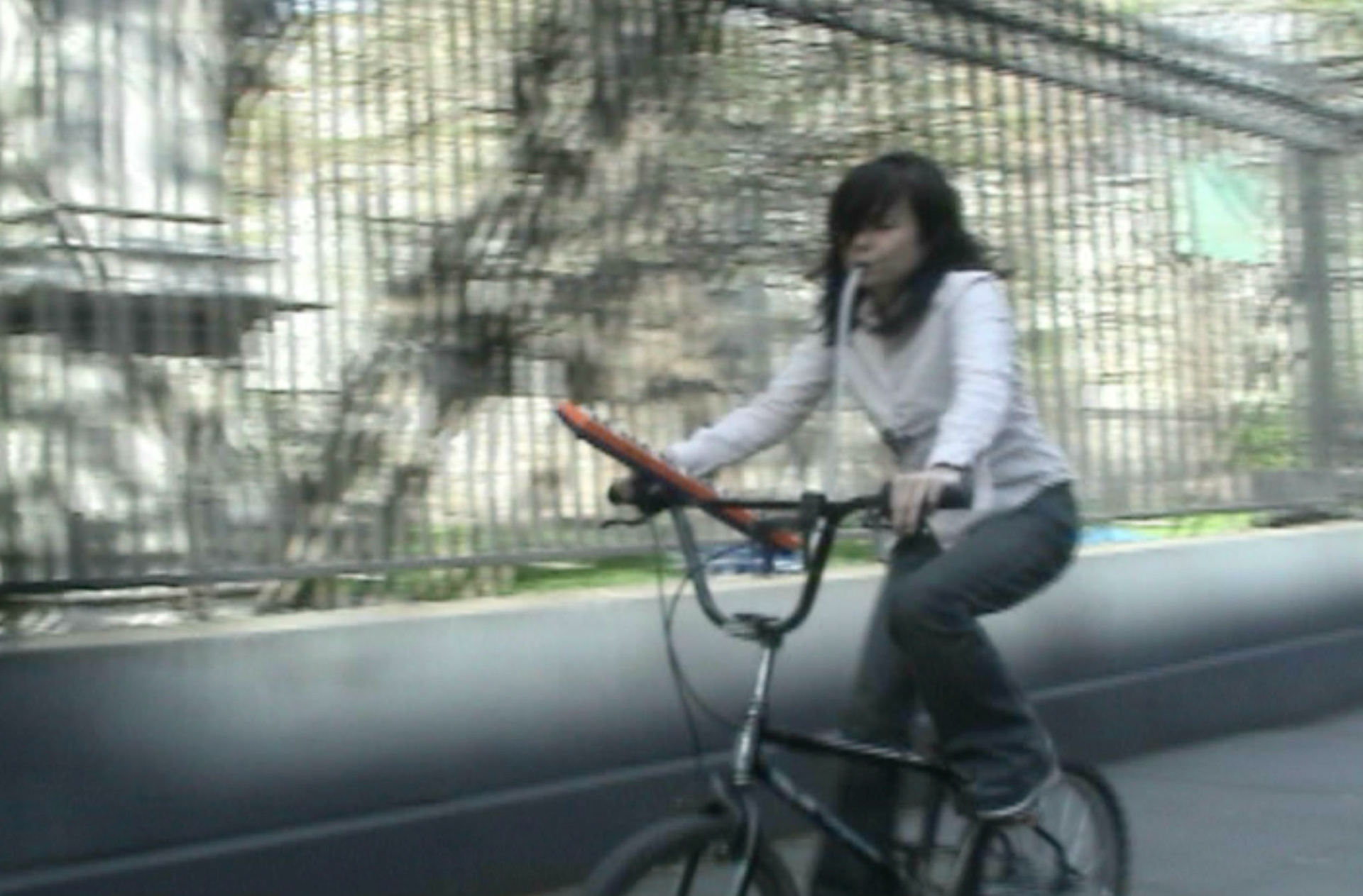 Bicycle Quartet, 2001