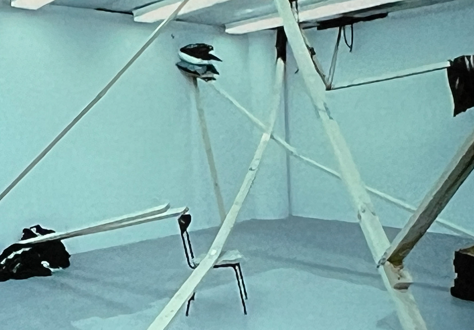 "Dependence" 1999 NYC