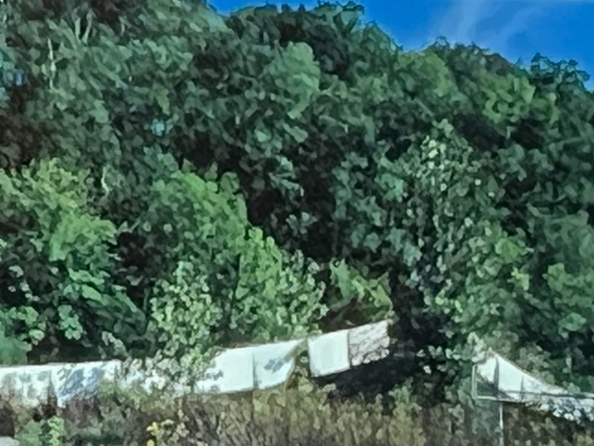 "a Line of sheets" 1999 North Adams MA